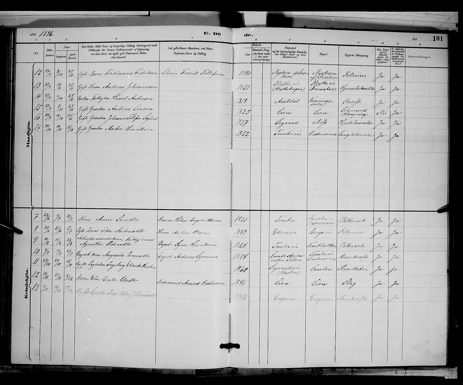 Biri prestekontor, SAH/PREST-096/H/Ha/Hab/L0003: Parish register (copy) no. 3, 1892-1905, p. 161