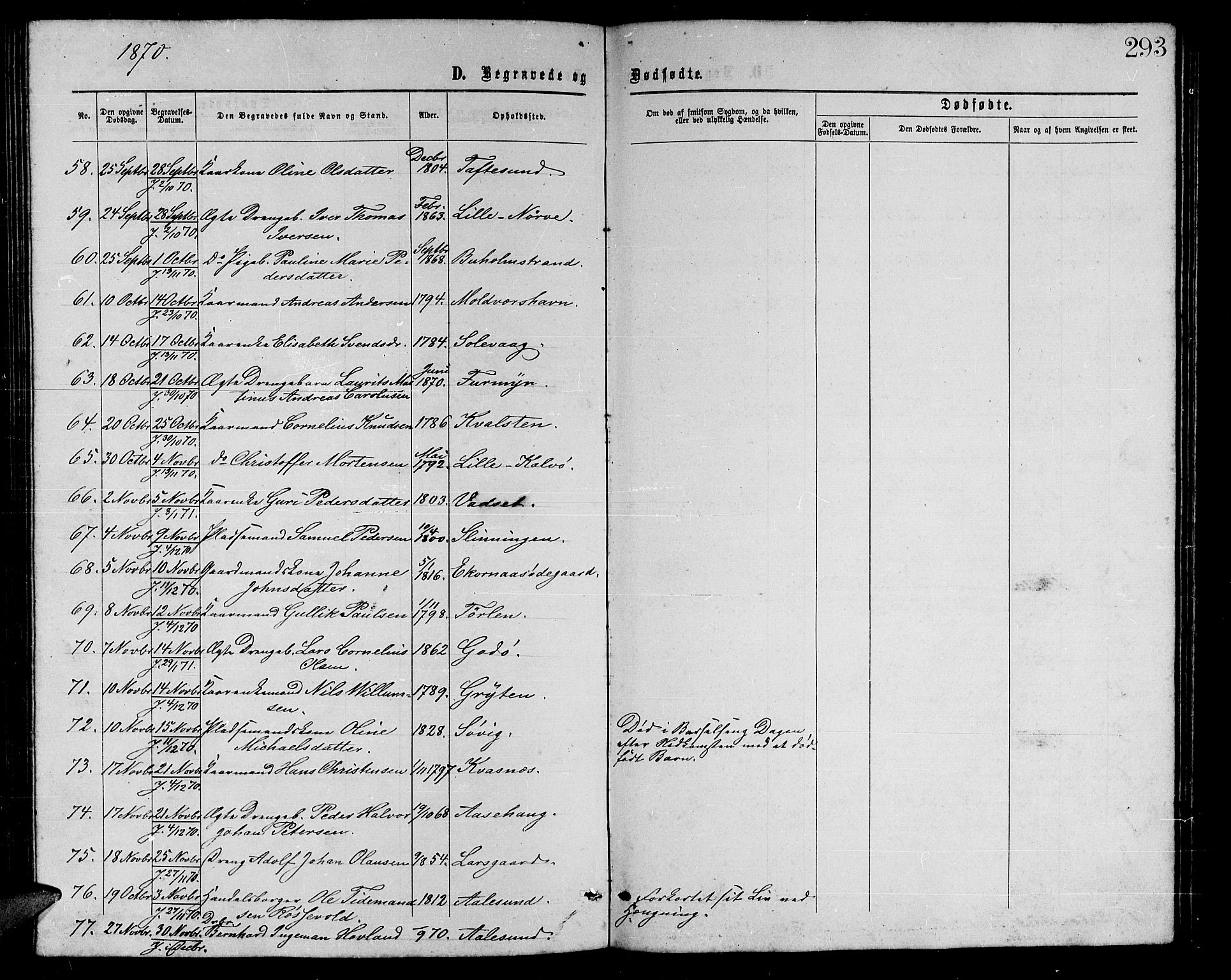 Ministerialprotokoller, klokkerbøker og fødselsregistre - Møre og Romsdal, AV/SAT-A-1454/528/L0428: Parish register (copy) no. 528C09, 1864-1880, p. 293