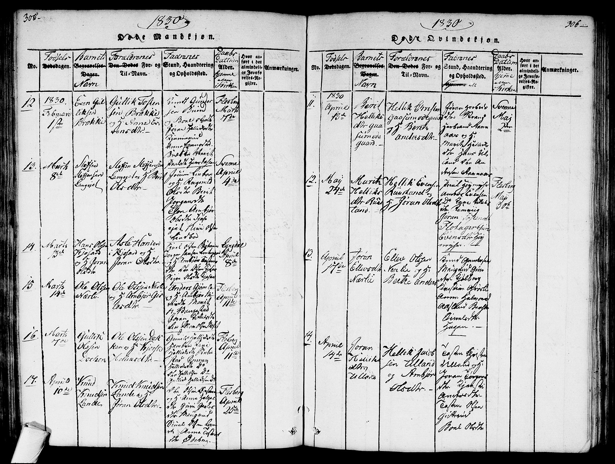 Flesberg kirkebøker, AV/SAKO-A-18/G/Ga/L0001: Parish register (copy) no. I 1, 1816-1834, p. 305-306