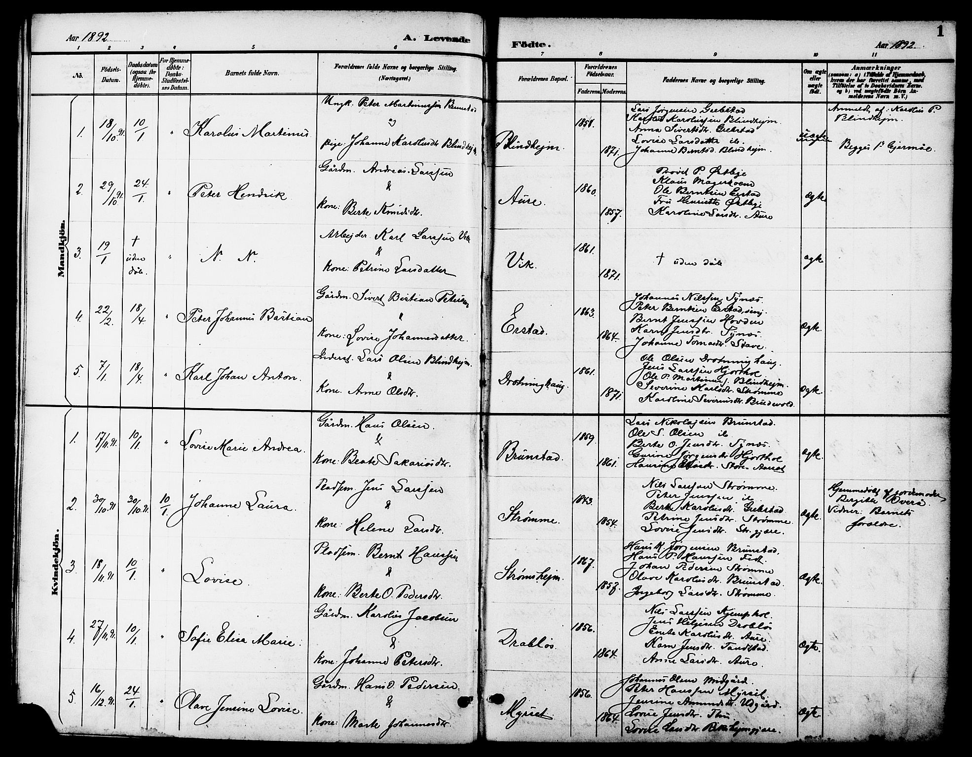 Ministerialprotokoller, klokkerbøker og fødselsregistre - Møre og Romsdal, SAT/A-1454/523/L0340: Parish register (copy) no. 523C03, 1892-1902, p. 1