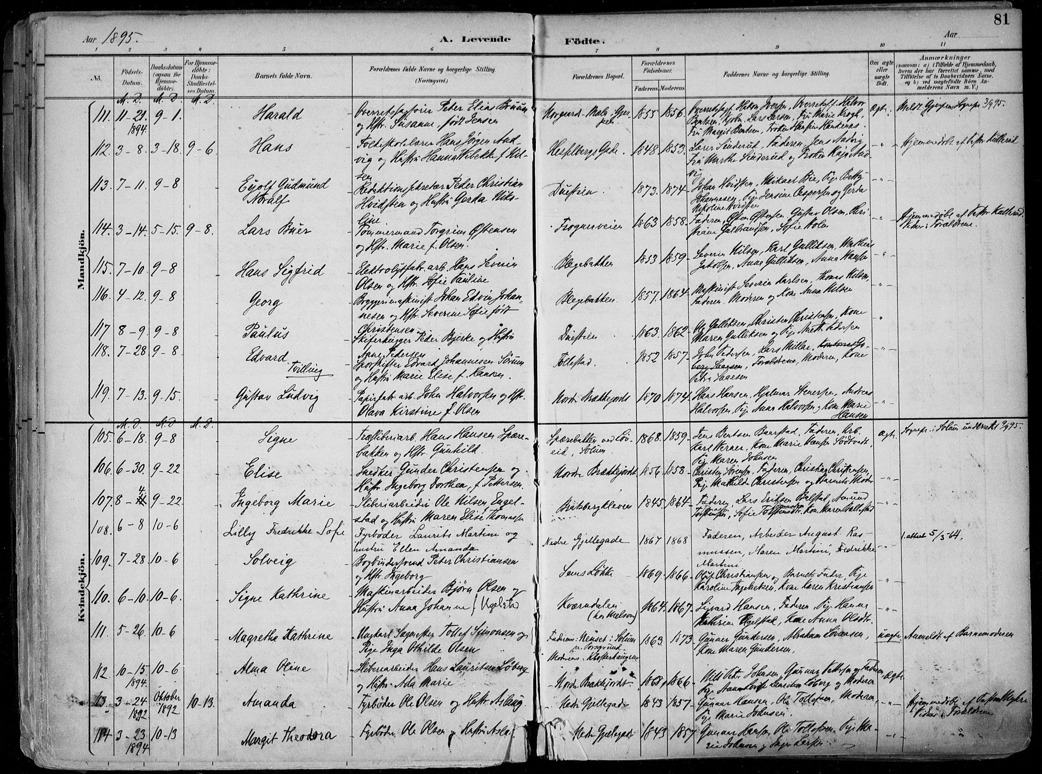 Skien kirkebøker, SAKO/A-302/F/Fa/L0010: Parish register (official) no. 10, 1891-1899, p. 81