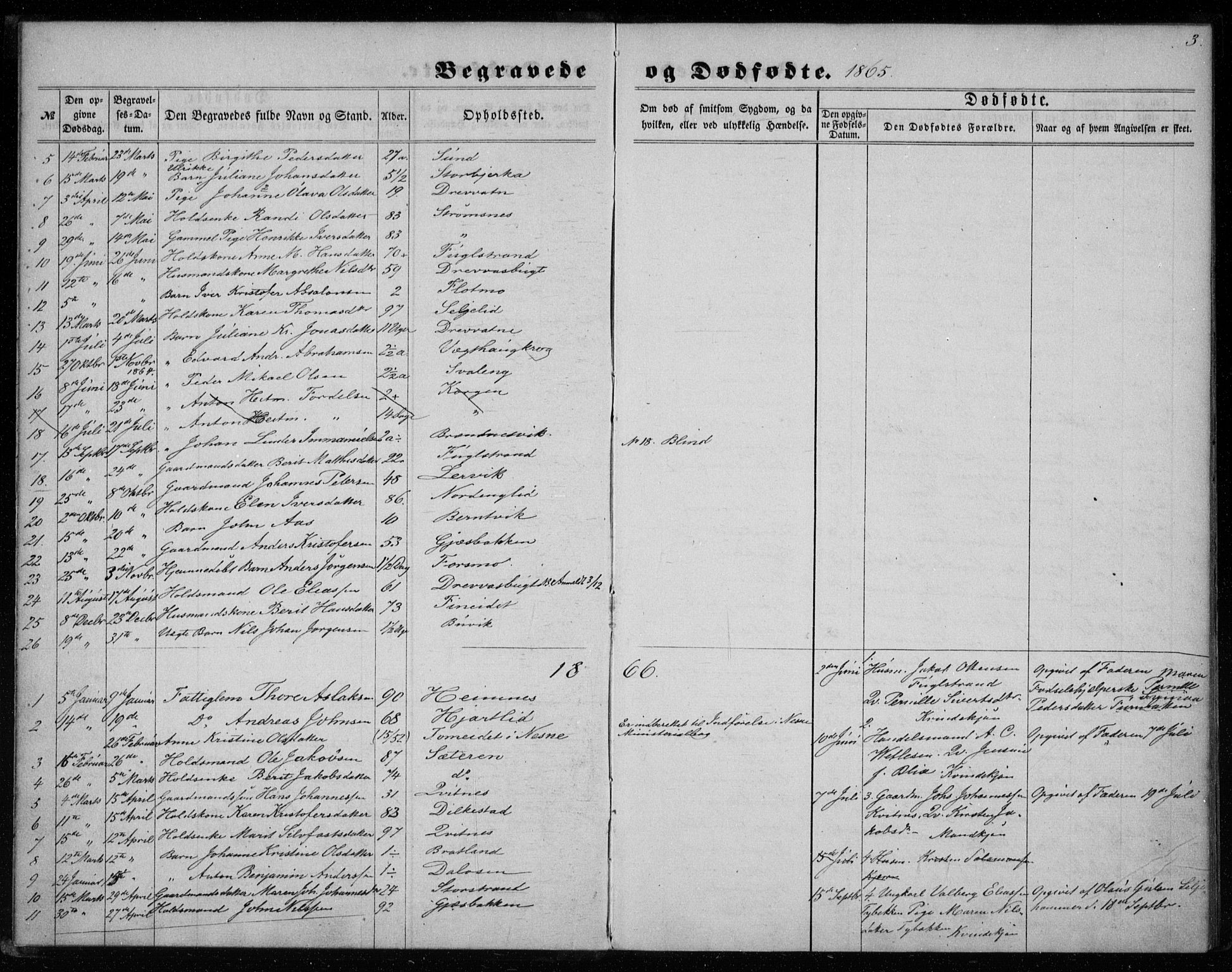 Ministerialprotokoller, klokkerbøker og fødselsregistre - Nordland, AV/SAT-A-1459/825/L0359: Parish register (official) no. 825A13, 1864-1878, p. 3