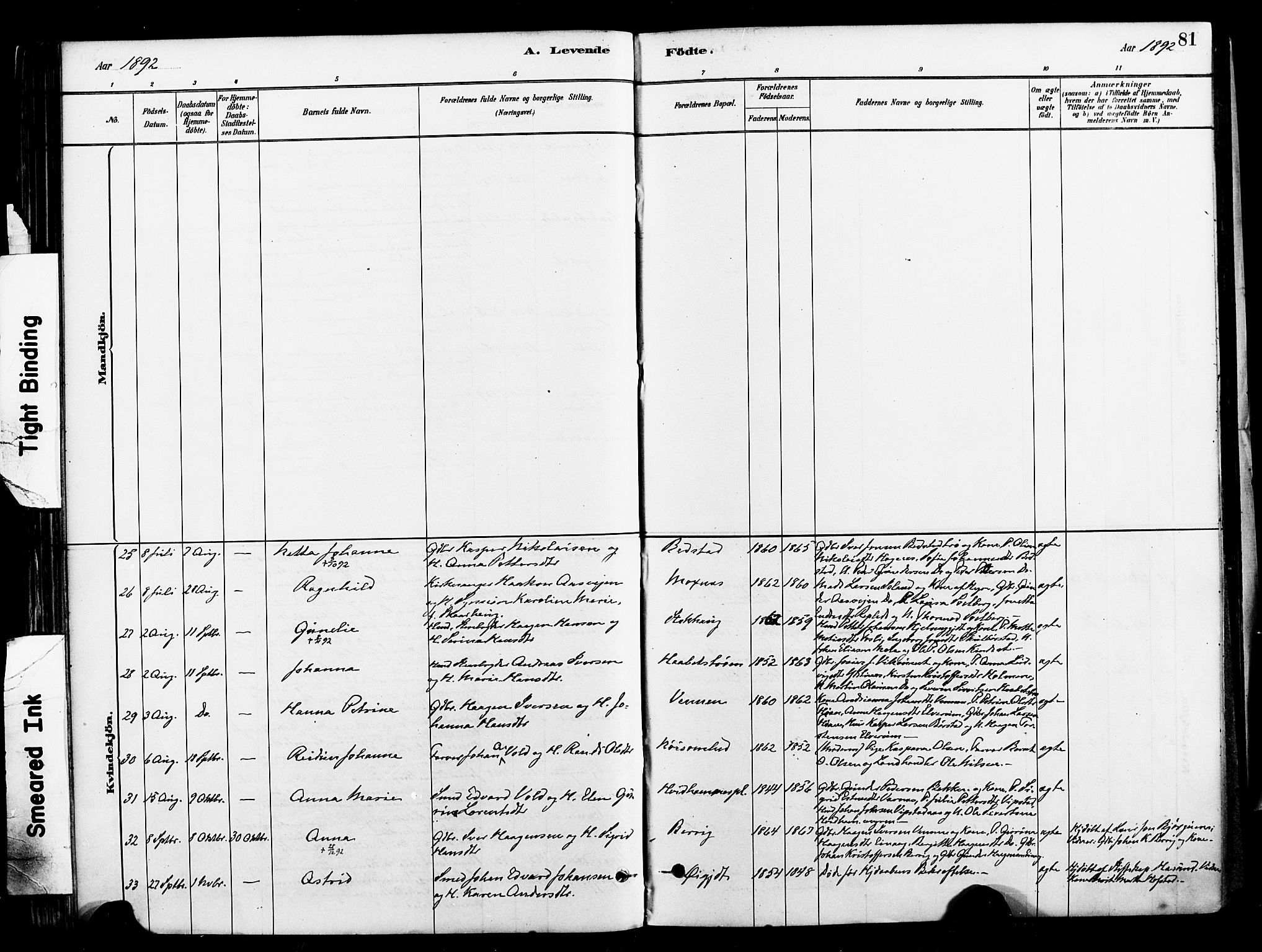 Ministerialprotokoller, klokkerbøker og fødselsregistre - Nord-Trøndelag, AV/SAT-A-1458/709/L0077: Parish register (official) no. 709A17, 1880-1895, p. 81