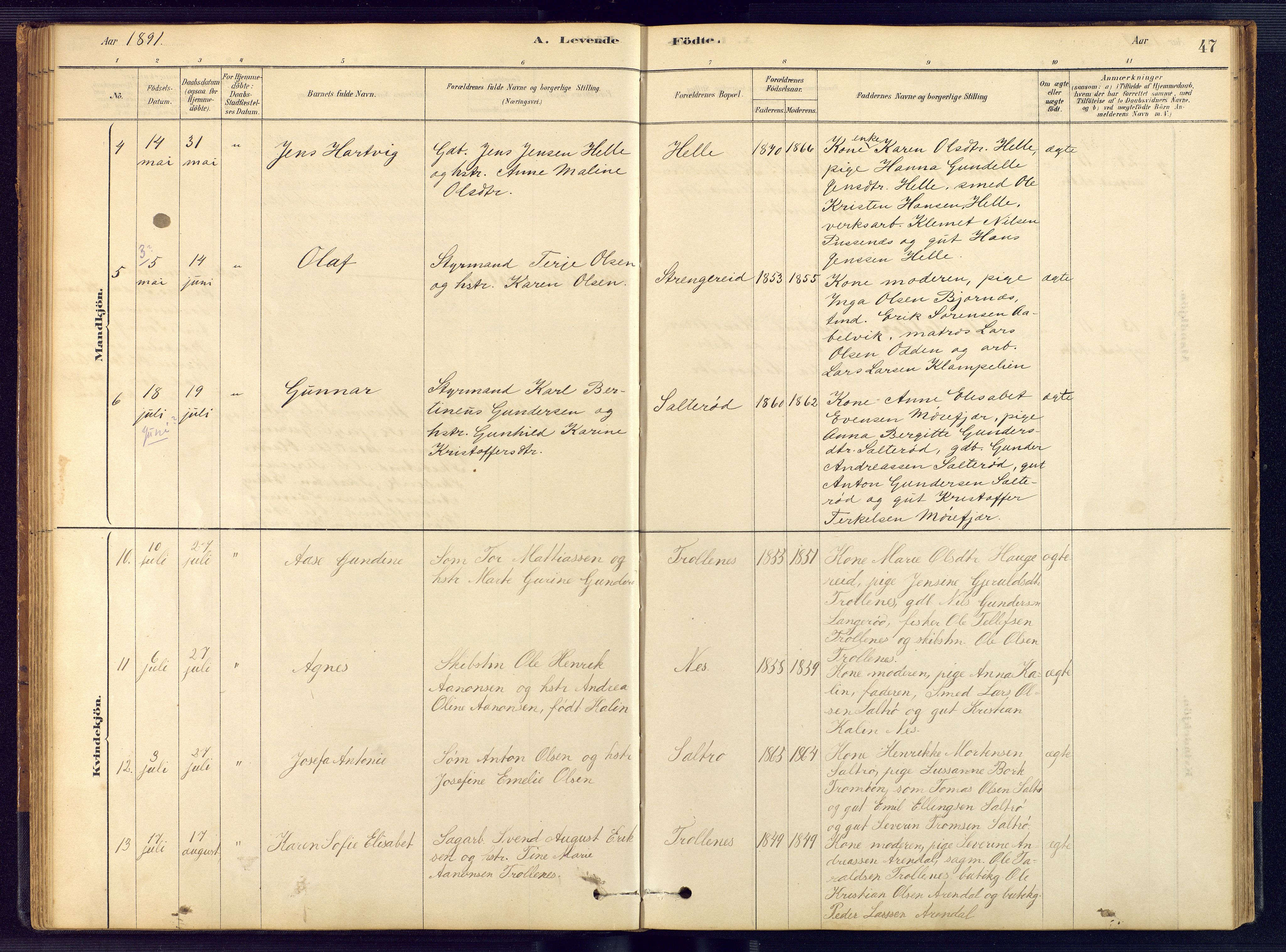 Austre Moland sokneprestkontor, AV/SAK-1111-0001/F/Fb/Fbb/L0001: Parish register (copy) no. B 1, 1878-1904, p. 47