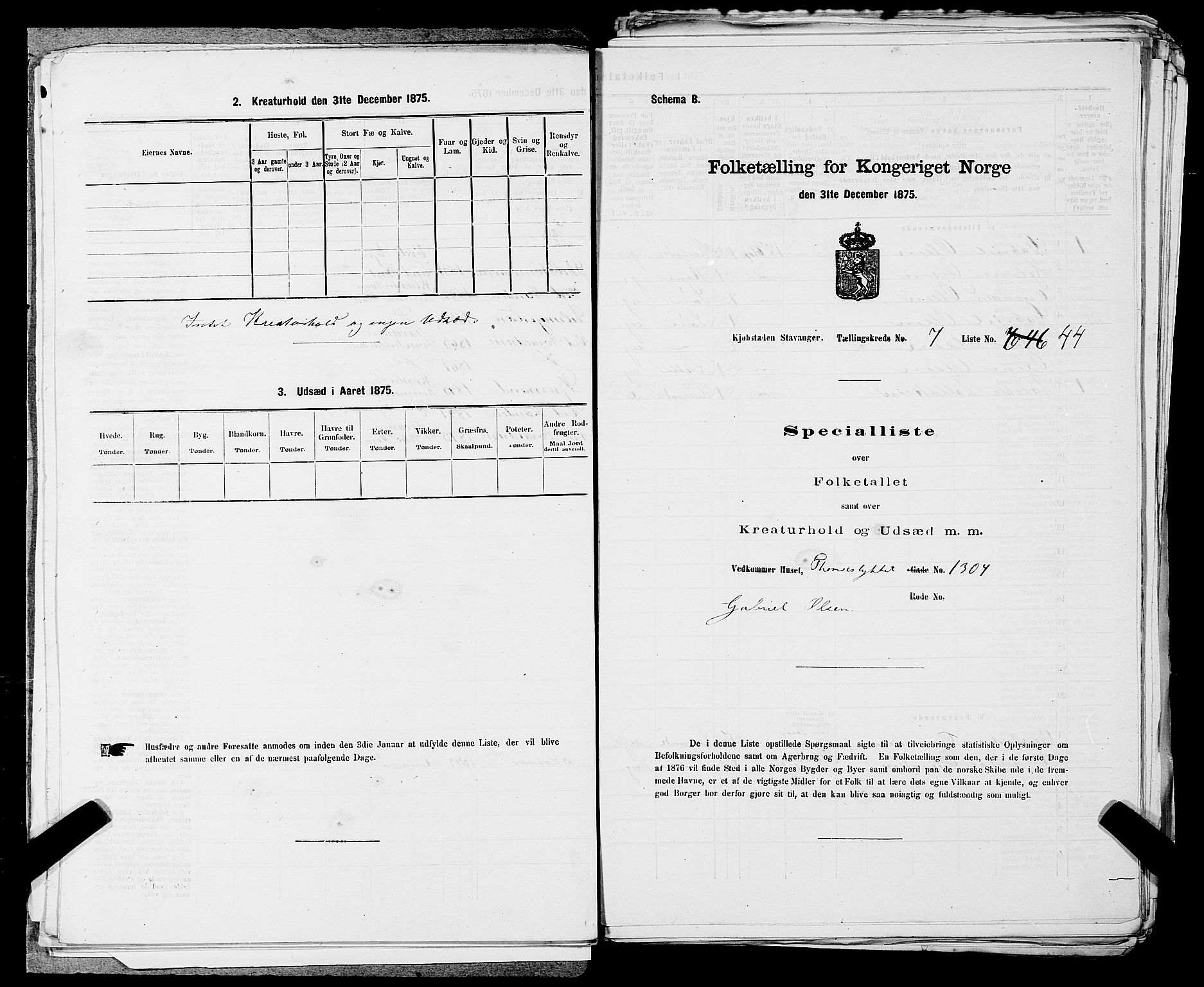 SAST, 1875 census for 1103 Stavanger, 1875, p. 1254