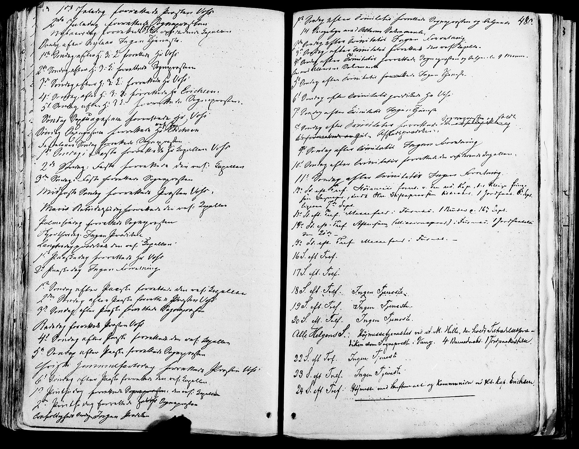 Vang prestekontor, Hedmark, AV/SAH-PREST-008/H/Ha/Haa/L0013: Parish register (official) no. 13, 1855-1879, p. 480