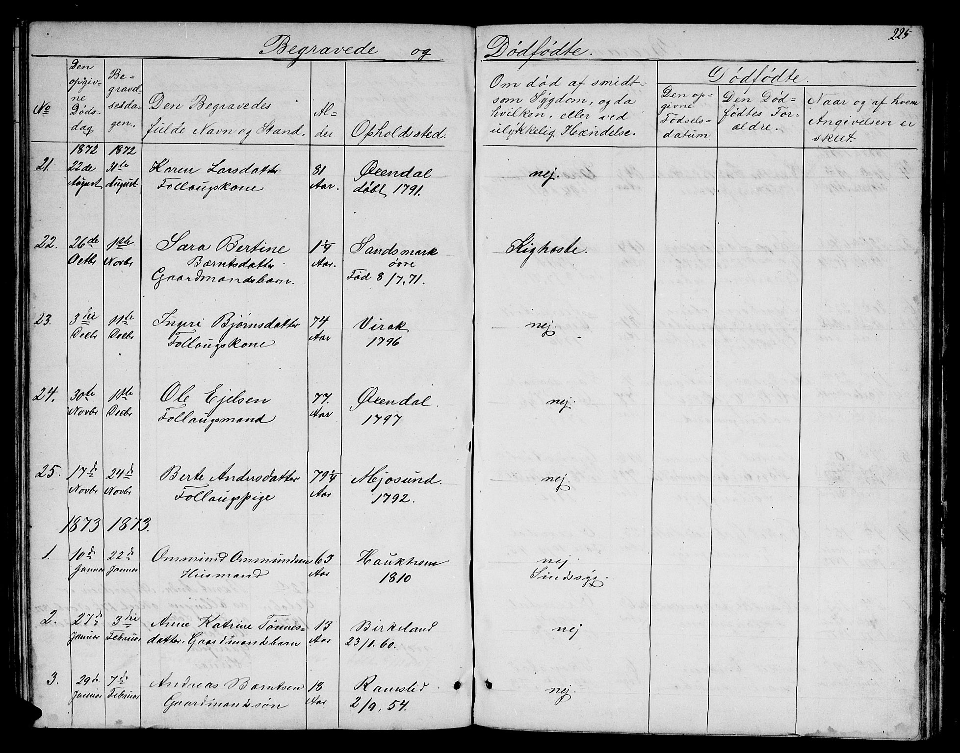 Bakke sokneprestkontor, SAK/1111-0002/F/Fb/Fba/L0001: Parish register (copy) no. B 1, 1849-1879, p. 225
