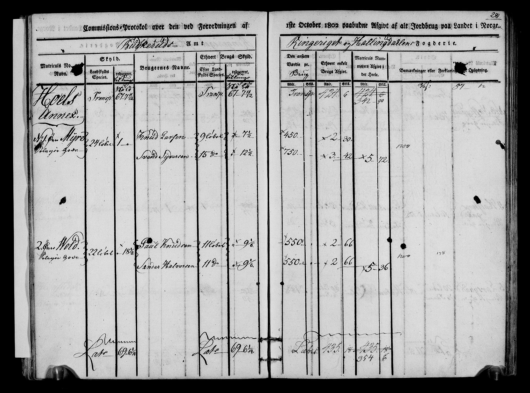 Rentekammeret inntil 1814, Realistisk ordnet avdeling, AV/RA-EA-4070/N/Ne/Nea/L0048: Ringerike og Hallingdal fogderi. Kommisjonsprotokoll for Ål prestegjeld, 1803, p. 31