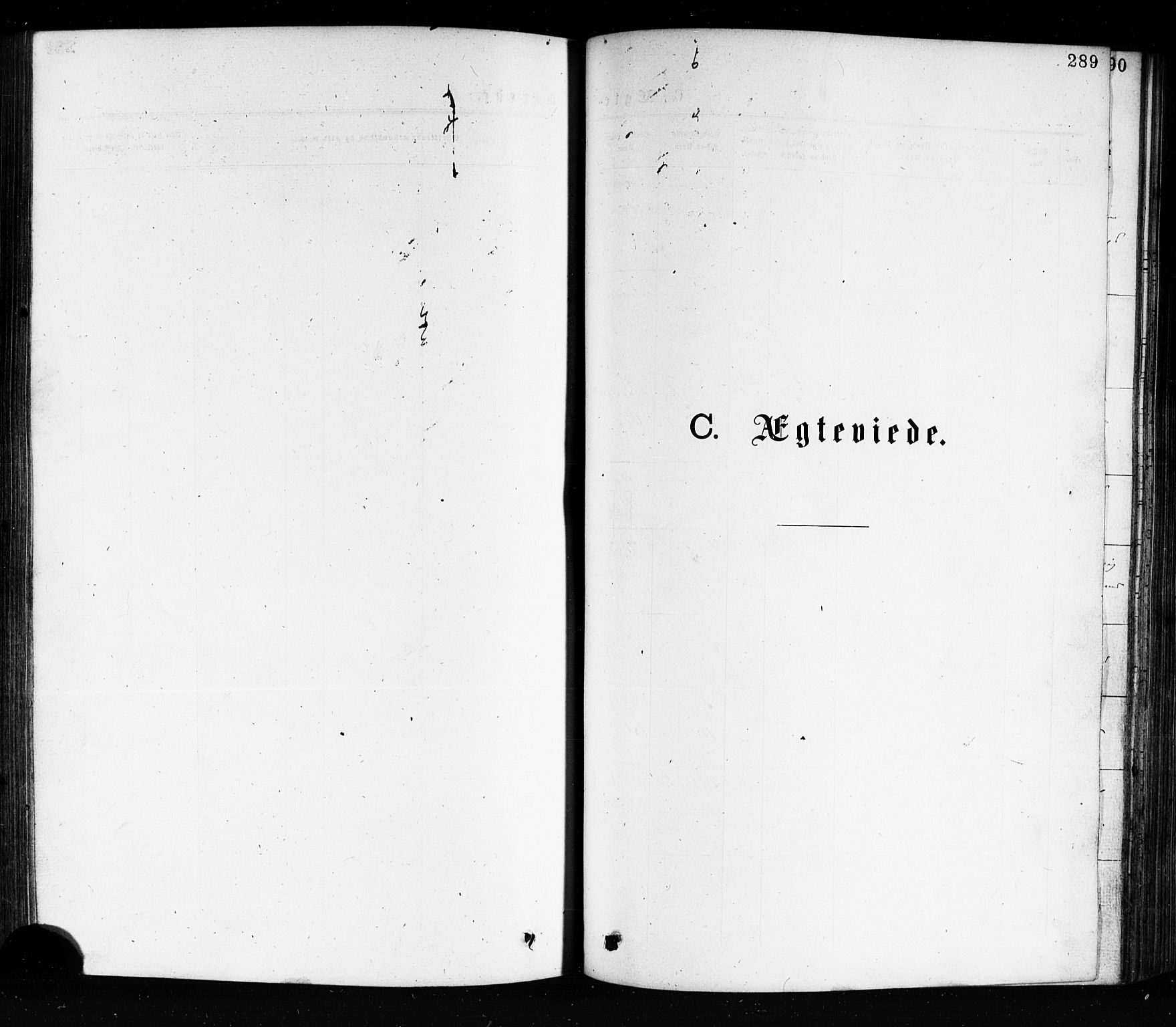 Porsgrunn kirkebøker , SAKO/A-104/G/Ga/L0003: Parish register (copy) no. I 3, 1877-1915, p. 289