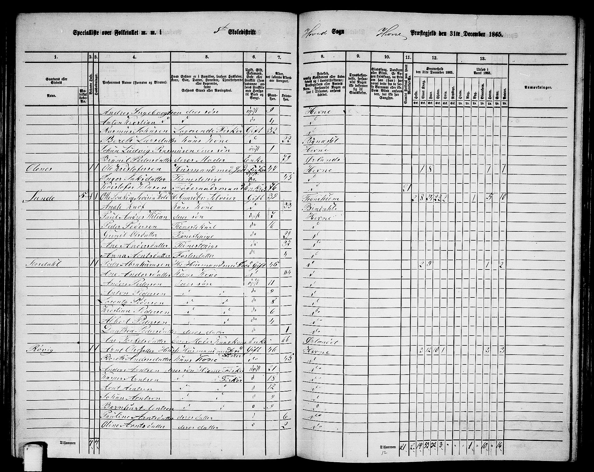 RA, 1865 census for Hemne, 1865, p. 107