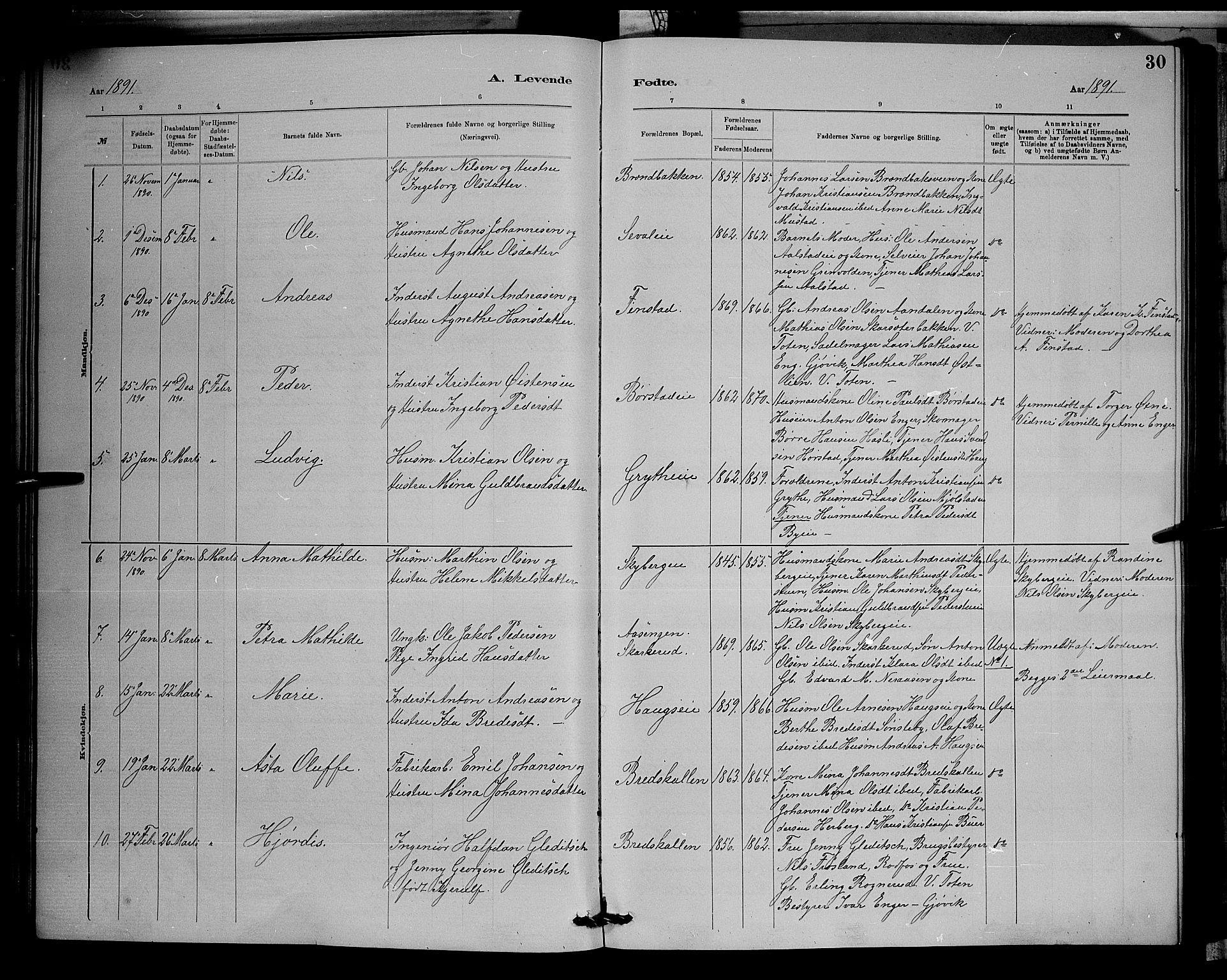 Vardal prestekontor, SAH/PREST-100/H/Ha/Hab/L0008: Parish register (copy) no. 8, 1881-1898, p. 30