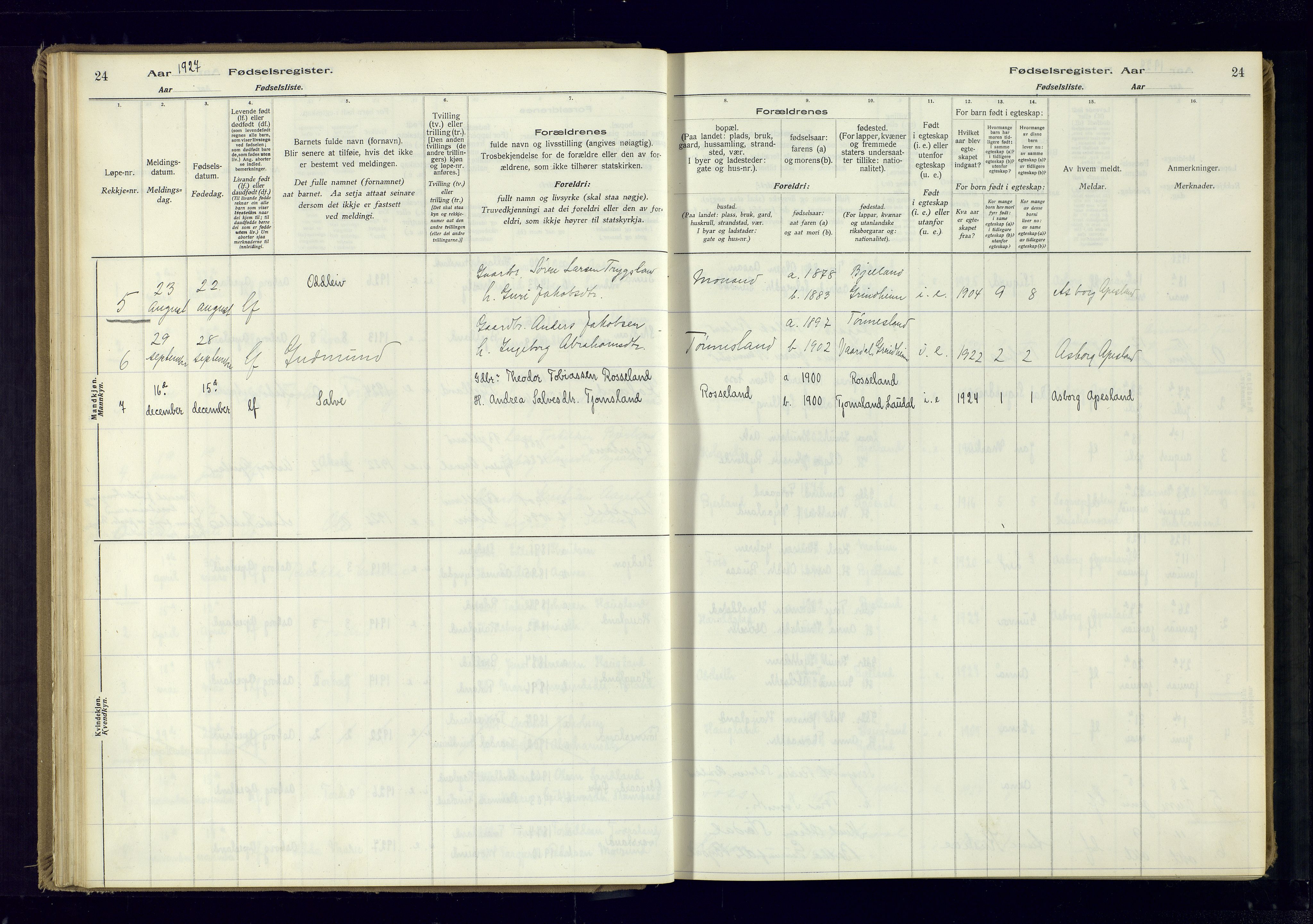 Bjelland sokneprestkontor, SAK/1111-0005/J/Ja/L0001: Birth register no. II.4.2, 1916-1982, p. 24