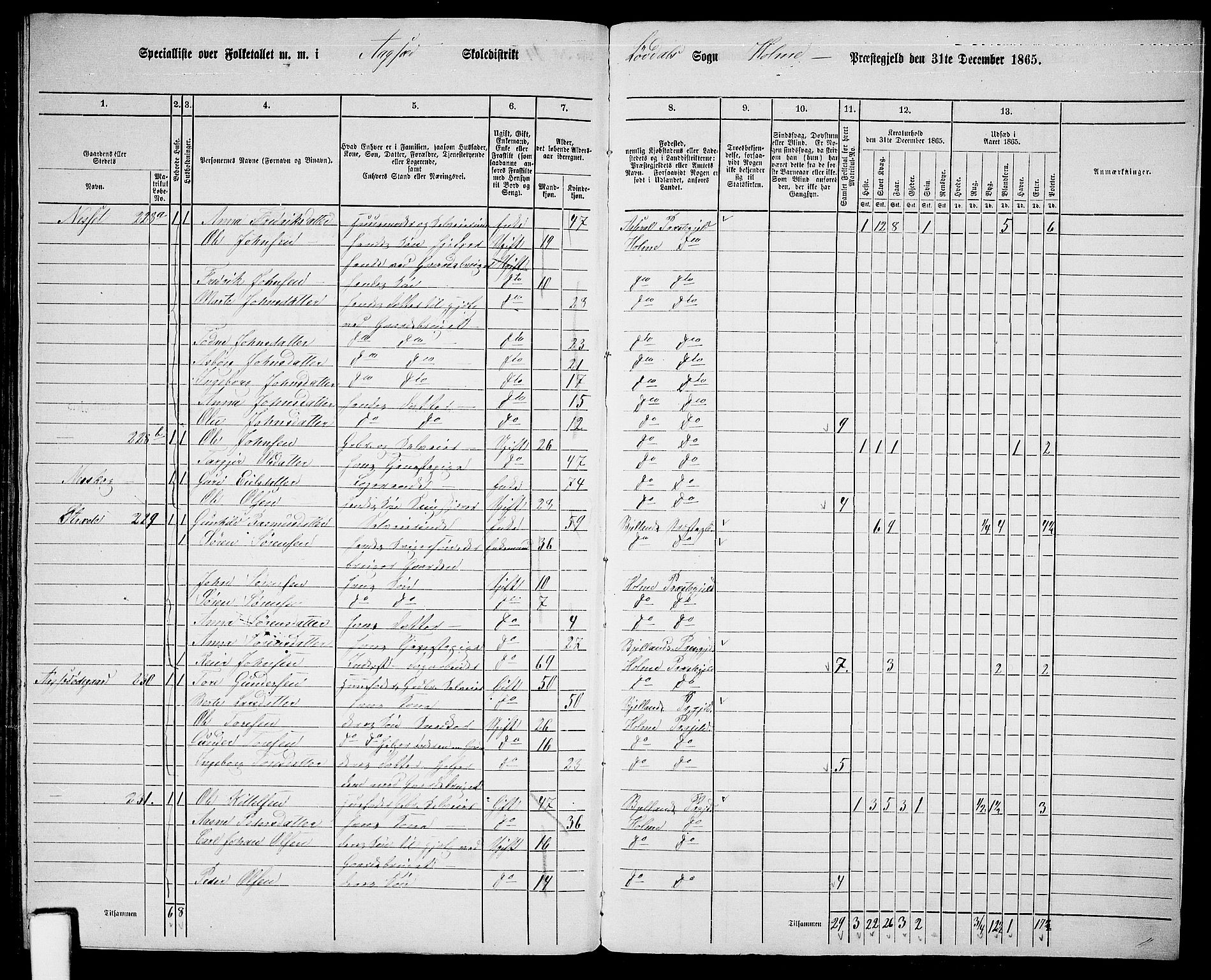 RA, 1865 census for Holum, 1865, p. 173