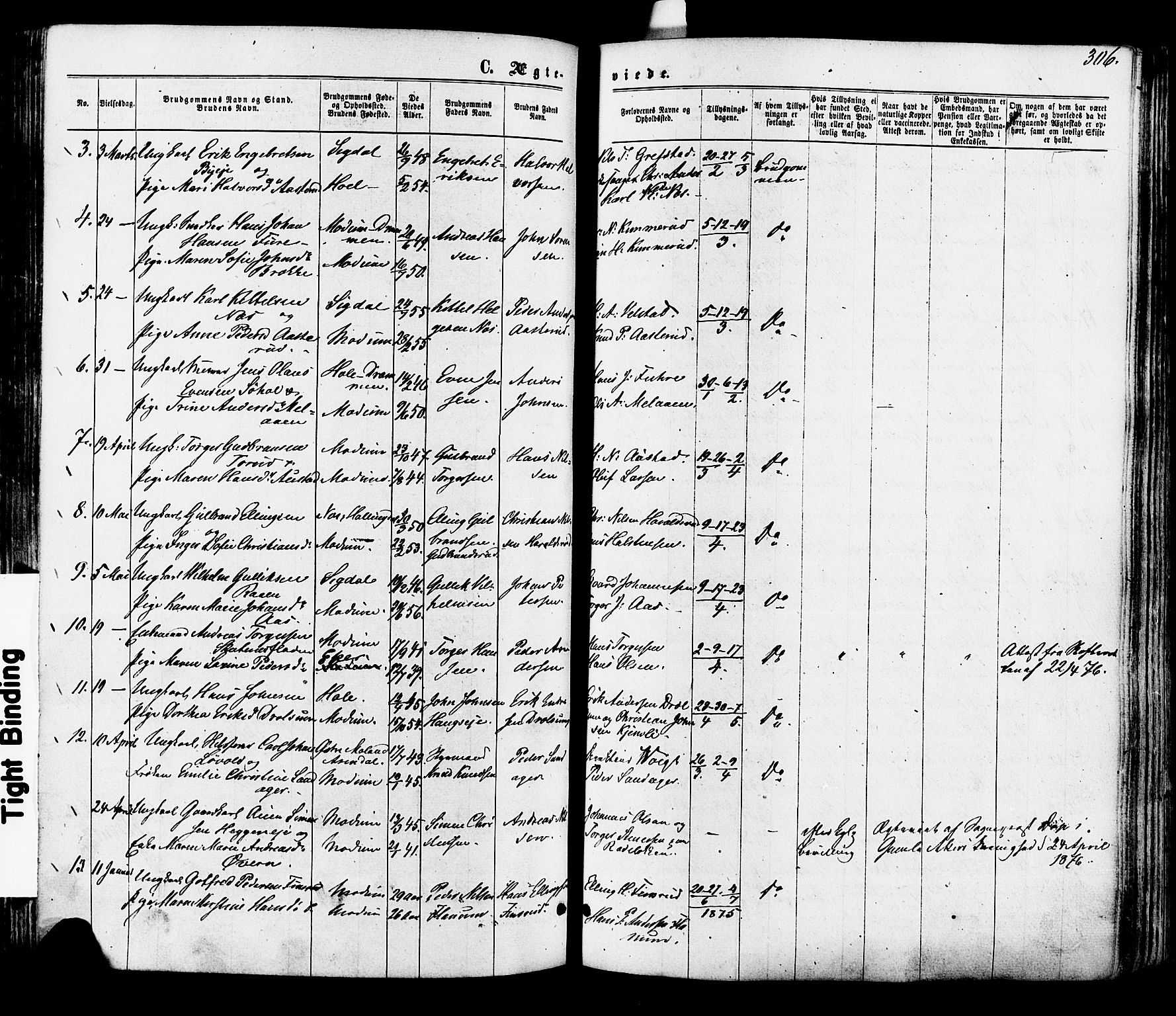 Modum kirkebøker, SAKO/A-234/F/Fa/L0010: Parish register (official) no. 10, 1865-1876, p. 306