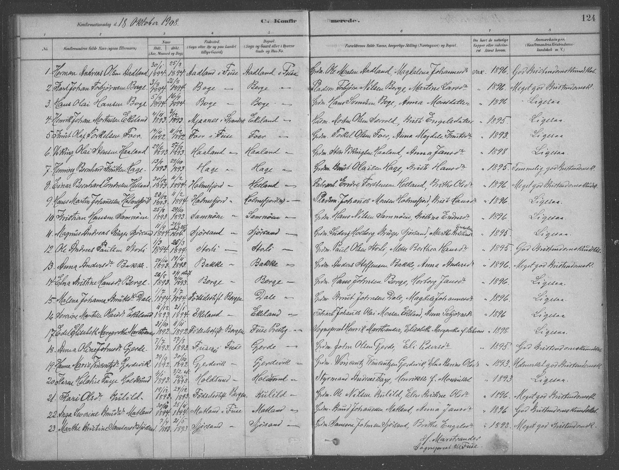 Fusa sokneprestembete, AV/SAB-A-75401/H/Haa: Parish register (official) no. B 1, 1880-1938, p. 124