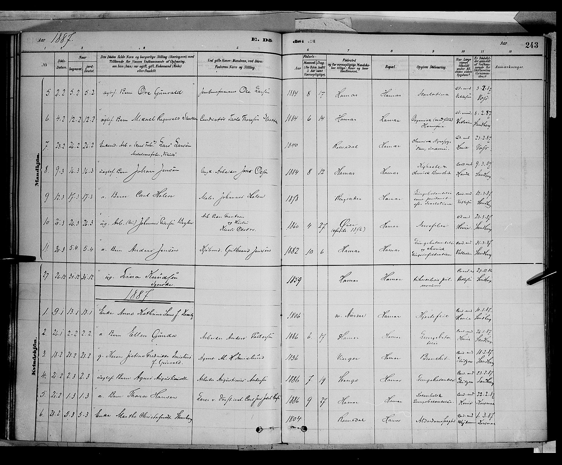 Vang prestekontor, Hedmark, SAH/PREST-008/H/Ha/Haa/L0016: Parish register (official) no. 16, 1878-1889, p. 243