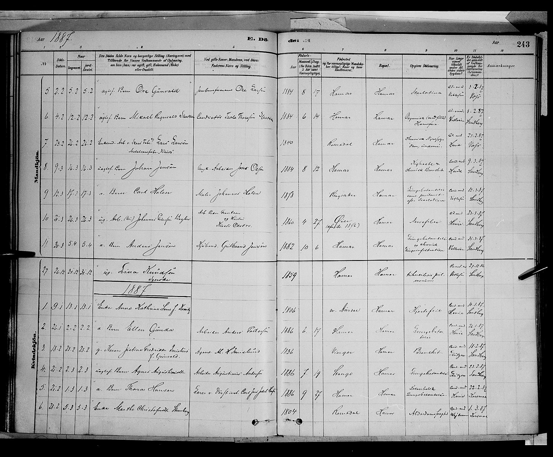 Vang prestekontor, Hedmark, AV/SAH-PREST-008/H/Ha/Haa/L0016: Parish register (official) no. 16, 1878-1889, p. 243