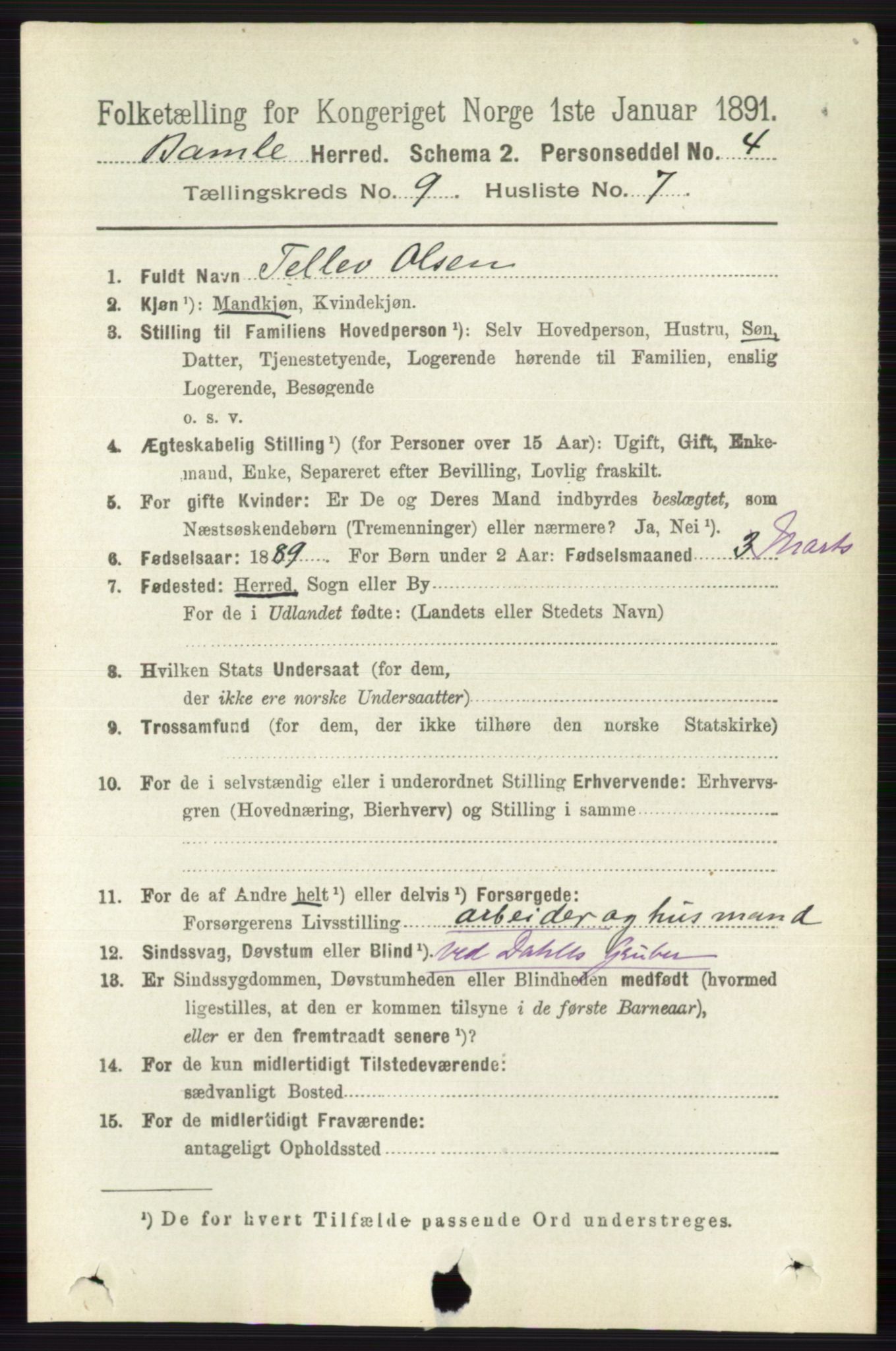 RA, 1891 census for 0814 Bamble, 1891, p. 4225