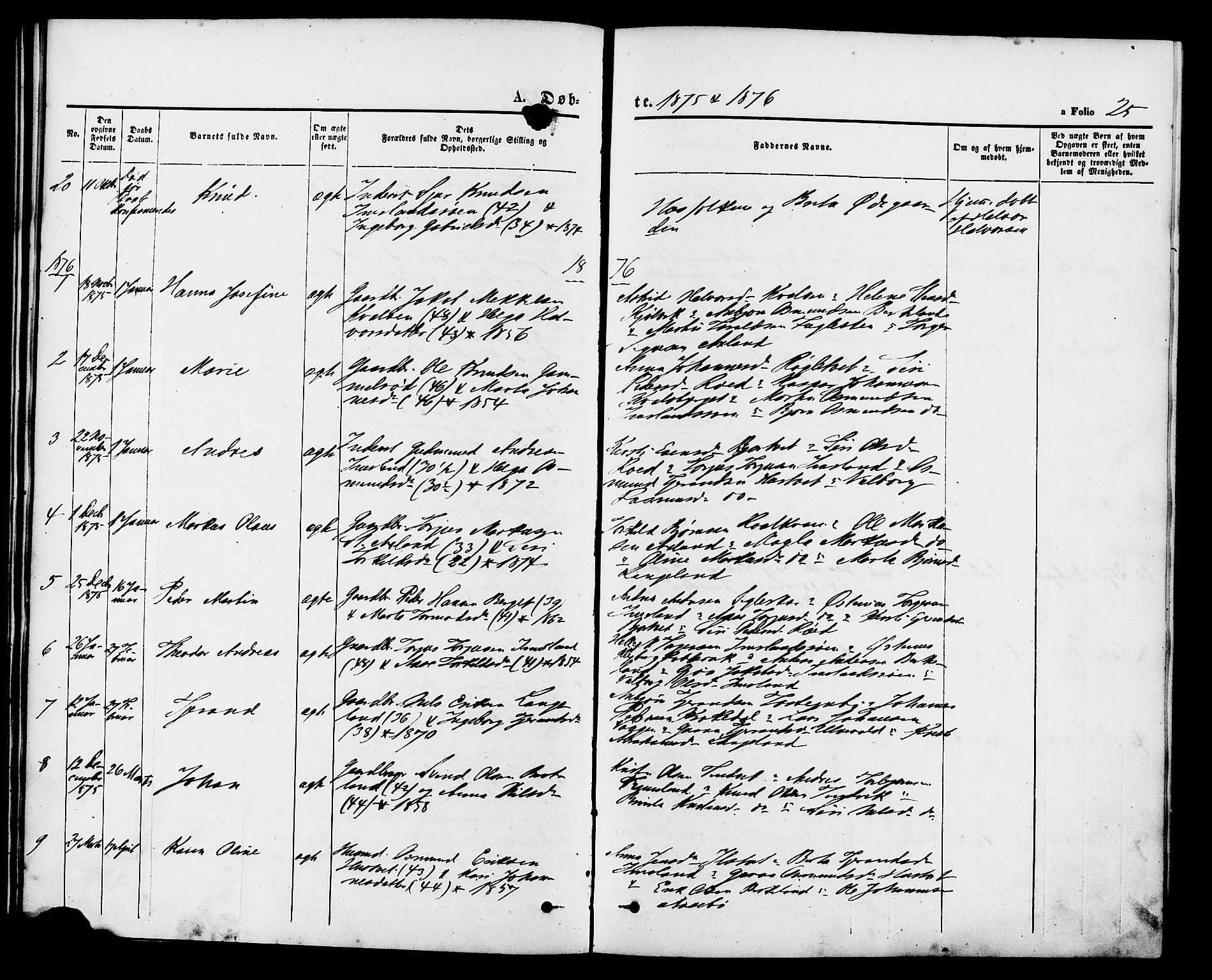 Vikedal sokneprestkontor, AV/SAST-A-101840/01/IV: Parish register (official) no. A 9, 1868-1885, p. 25