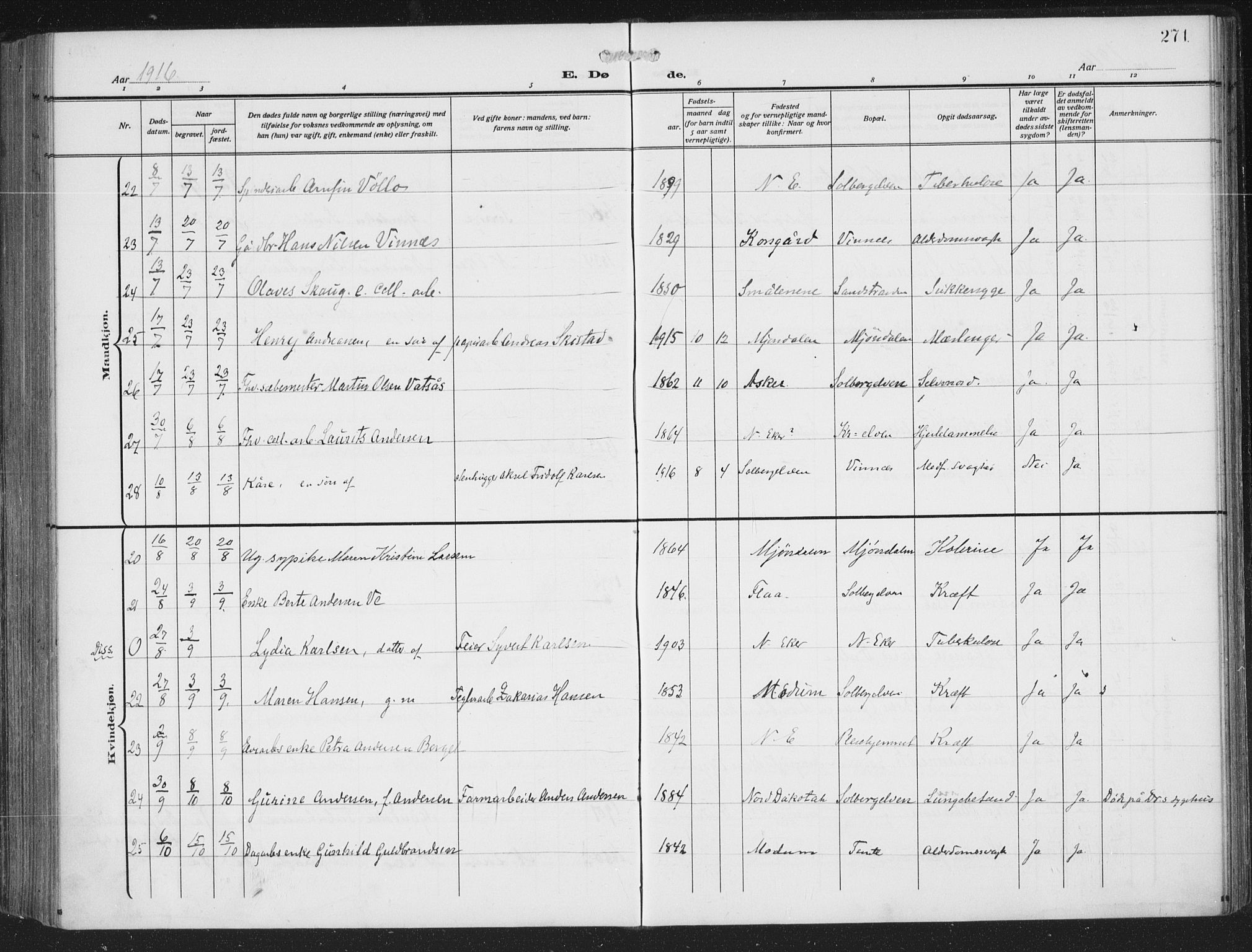 Nedre Eiker kirkebøker, AV/SAKO-A-612/F/Fa/L0007: Parish register (official) no. 7, 1912-1918, p. 271