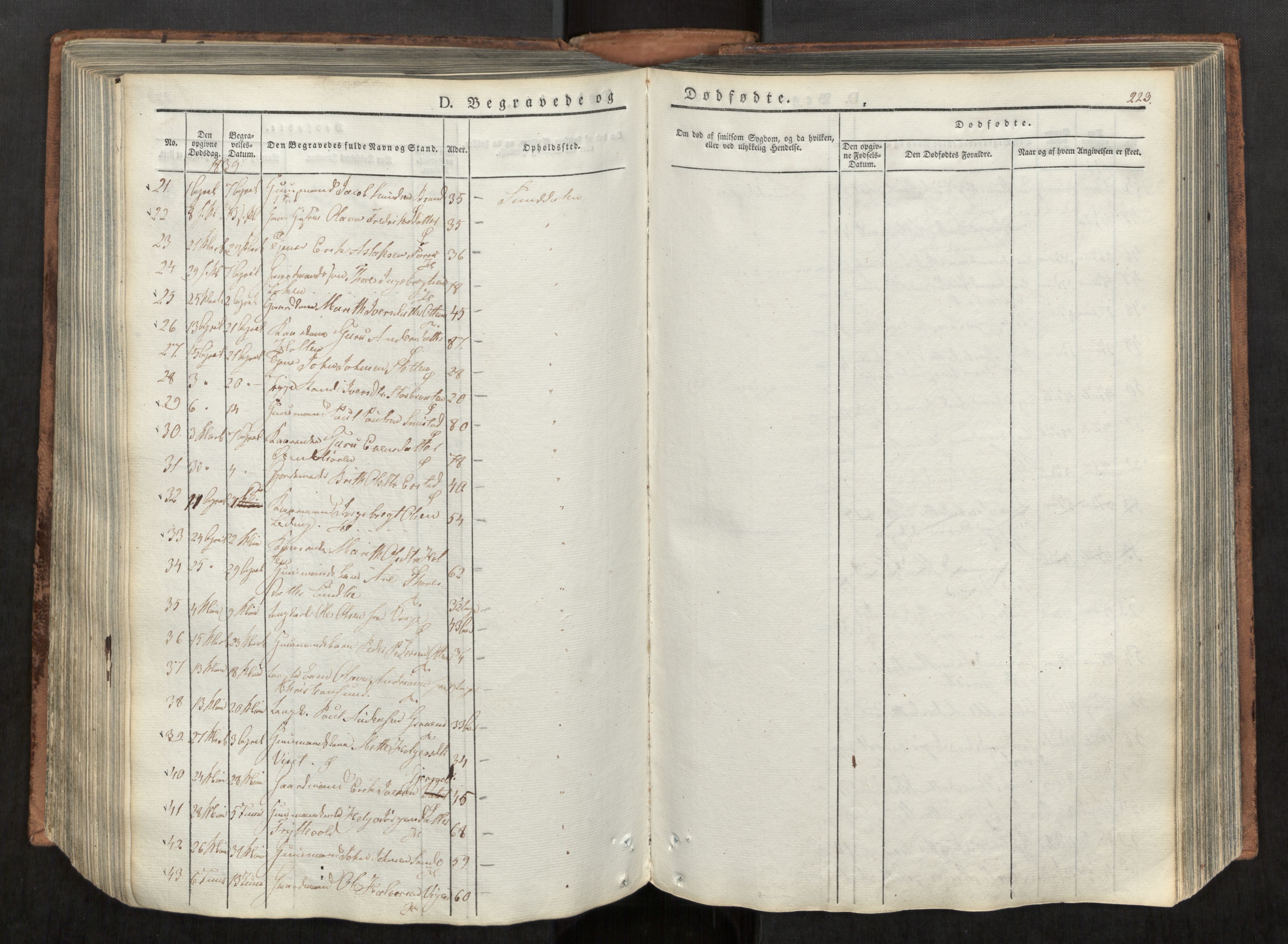 Ministerialprotokoller, klokkerbøker og fødselsregistre - Møre og Romsdal, AV/SAT-A-1454/590/L1012: Parish register (official) no. 590A04, 1832-1846, p. 223