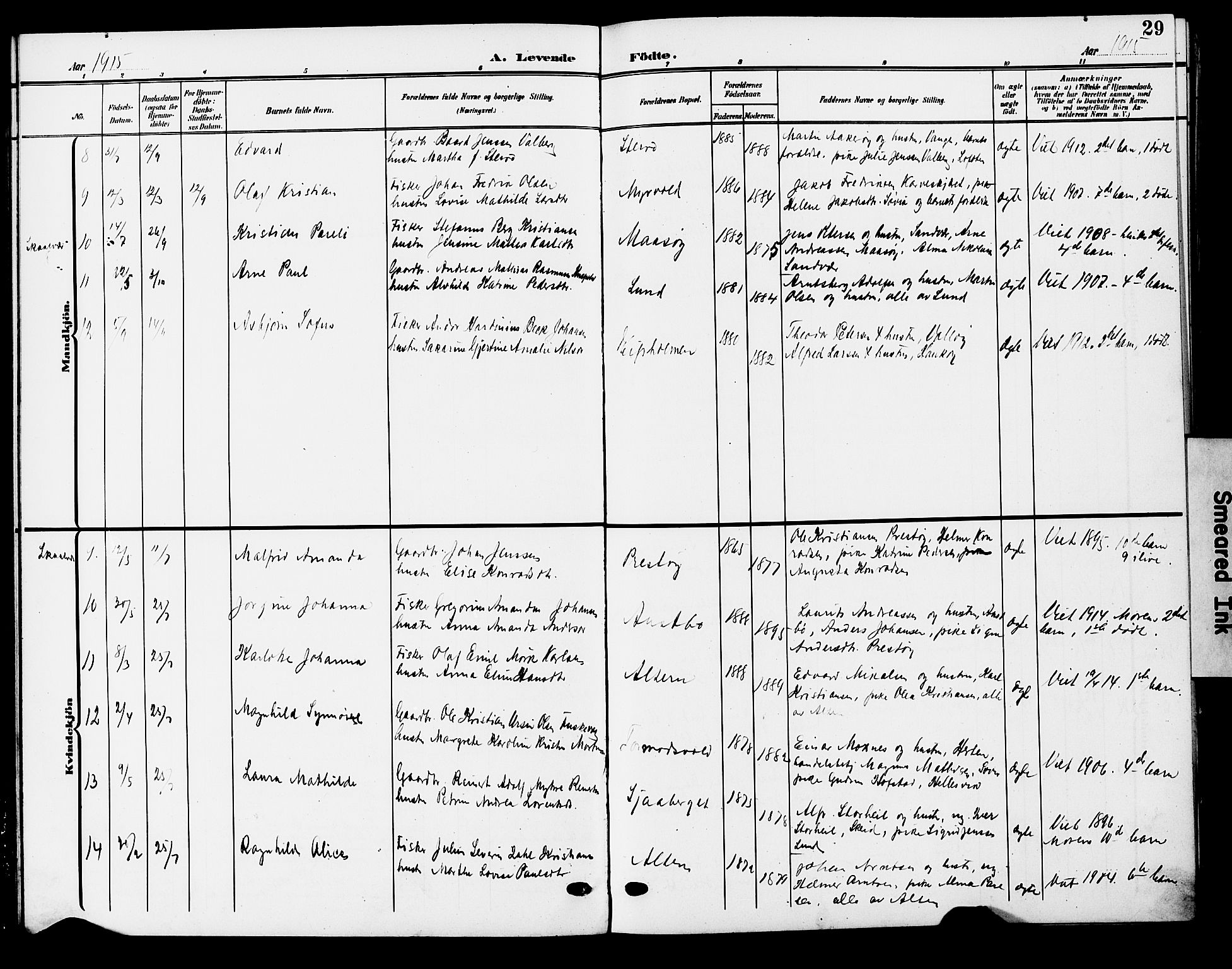 Ministerialprotokoller, klokkerbøker og fødselsregistre - Nordland, AV/SAT-A-1459/830/L0464: Parish register (copy) no. 830C06, 1906-1925, p. 29