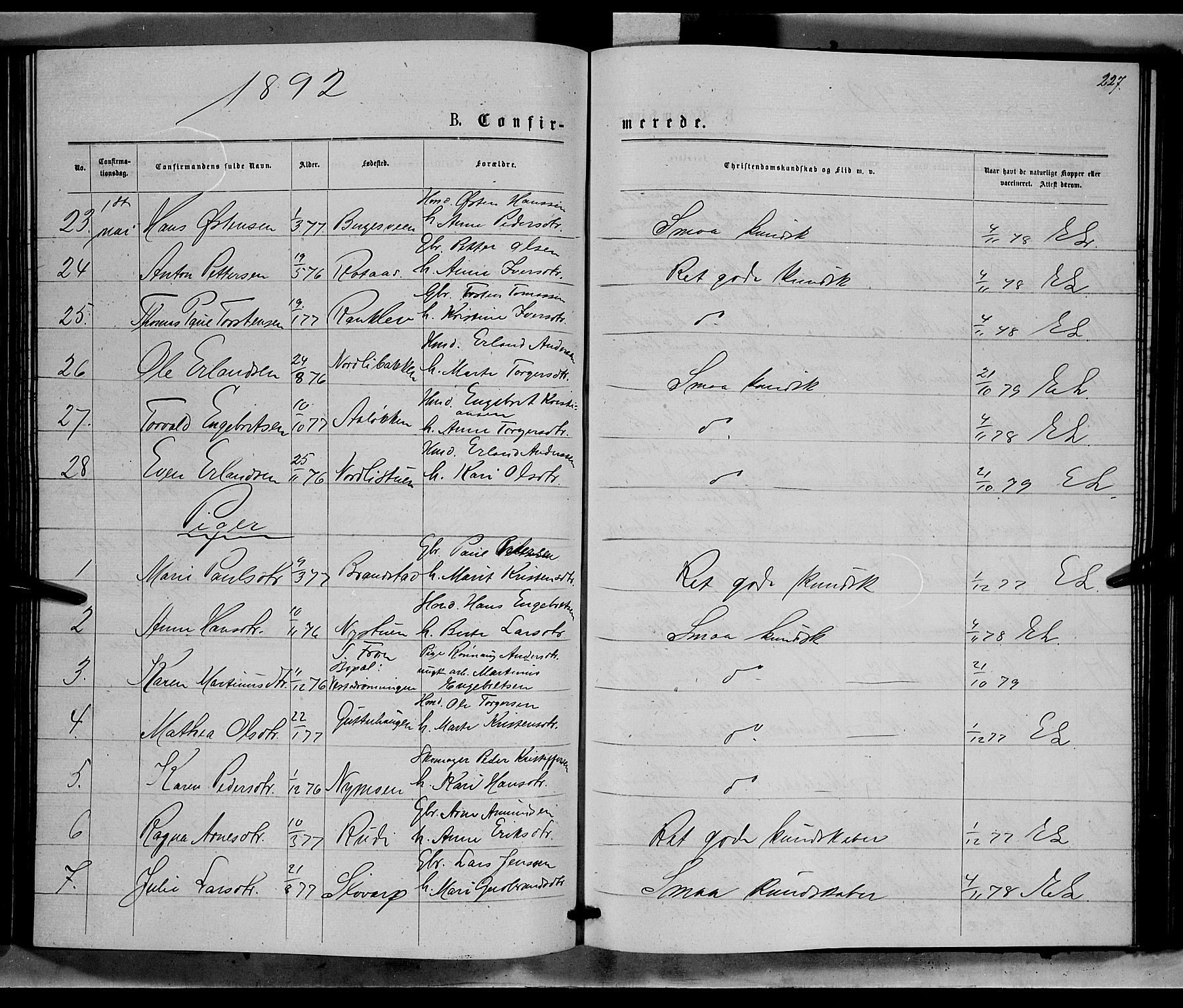 Ringebu prestekontor, AV/SAH-PREST-082/H/Ha/Hab/L0006: Parish register (copy) no. 6, 1880-1898, p. 227