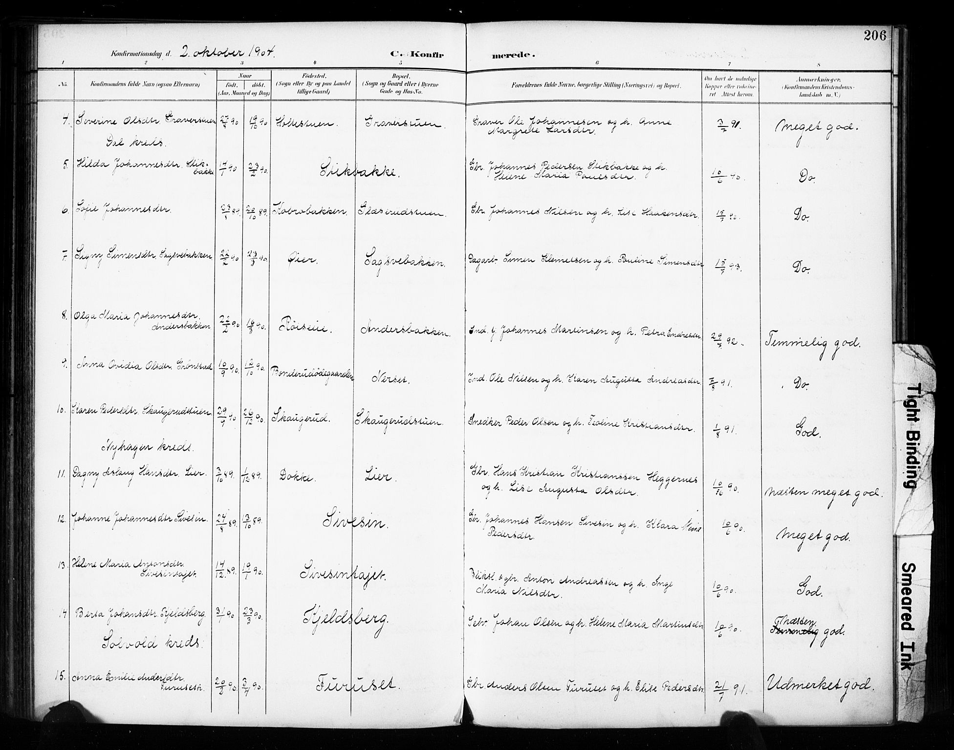 Vestre Toten prestekontor, AV/SAH-PREST-108/H/Ha/Haa/L0011: Parish register (official) no. 11, 1895-1906, p. 206