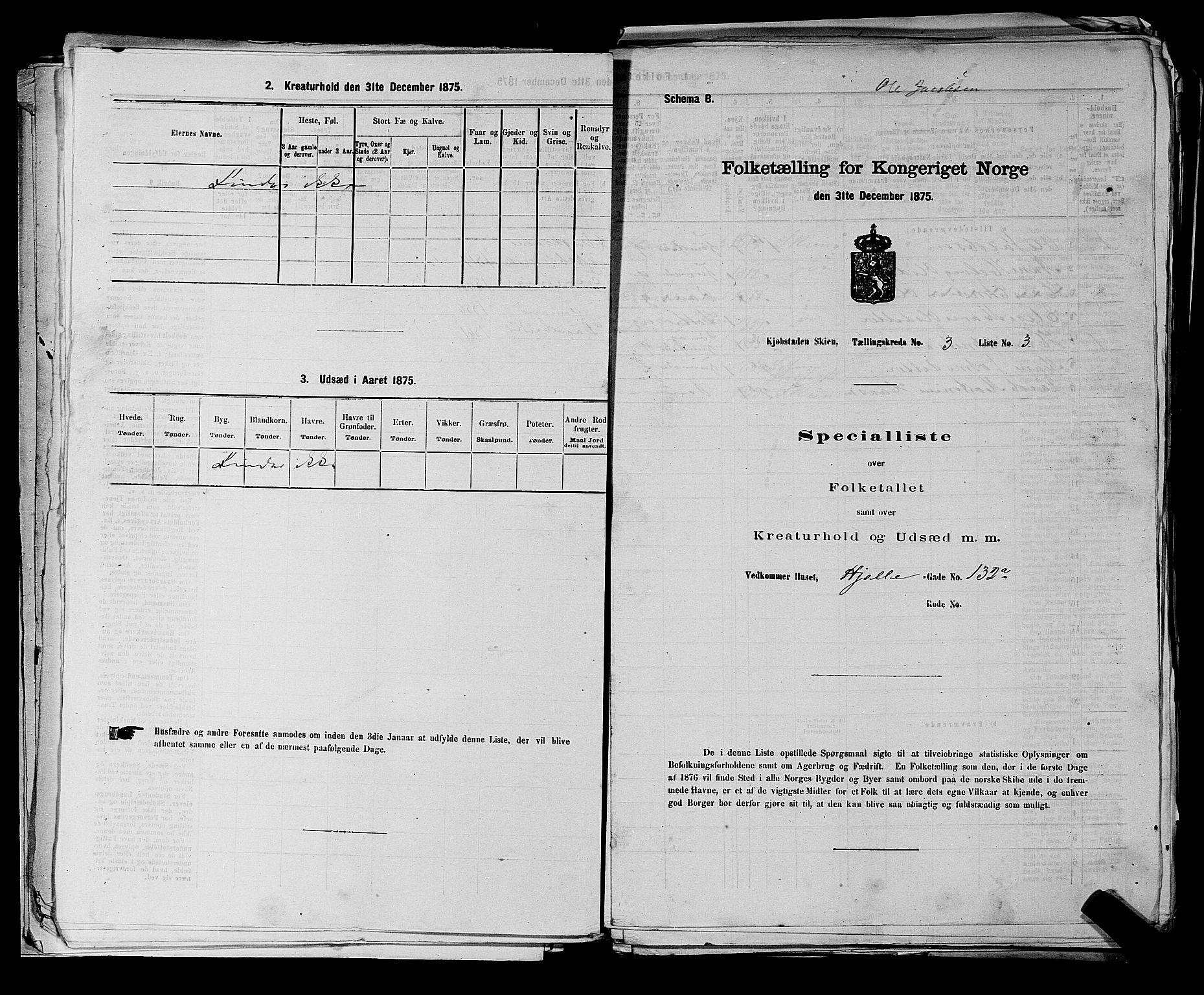 SAKO, 1875 census for 0806P Skien, 1875, p. 471