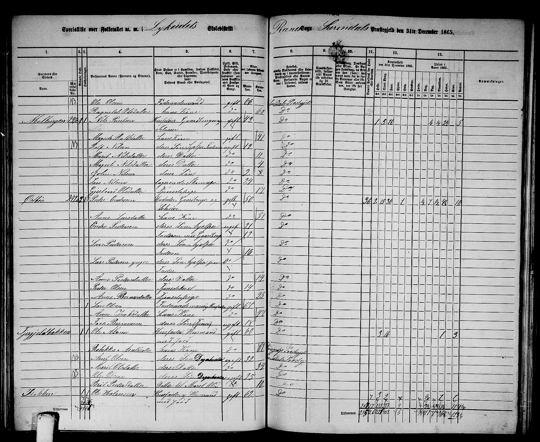 RA, 1865 census for Surnadal, 1865, p. 106