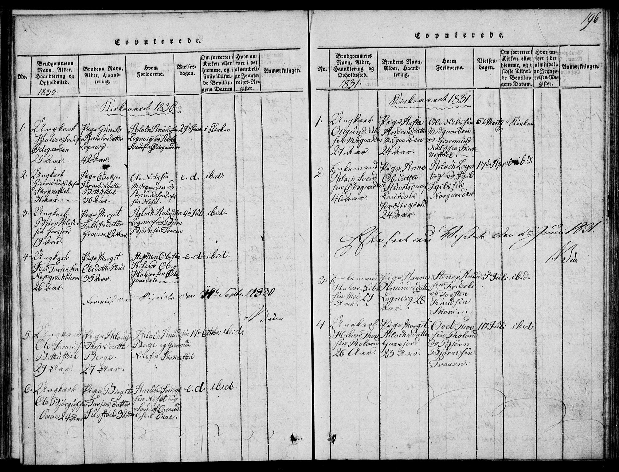 Rauland kirkebøker, SAKO/A-292/G/Ga/L0001: Parish register (copy) no. I 1, 1814-1843, p. 196