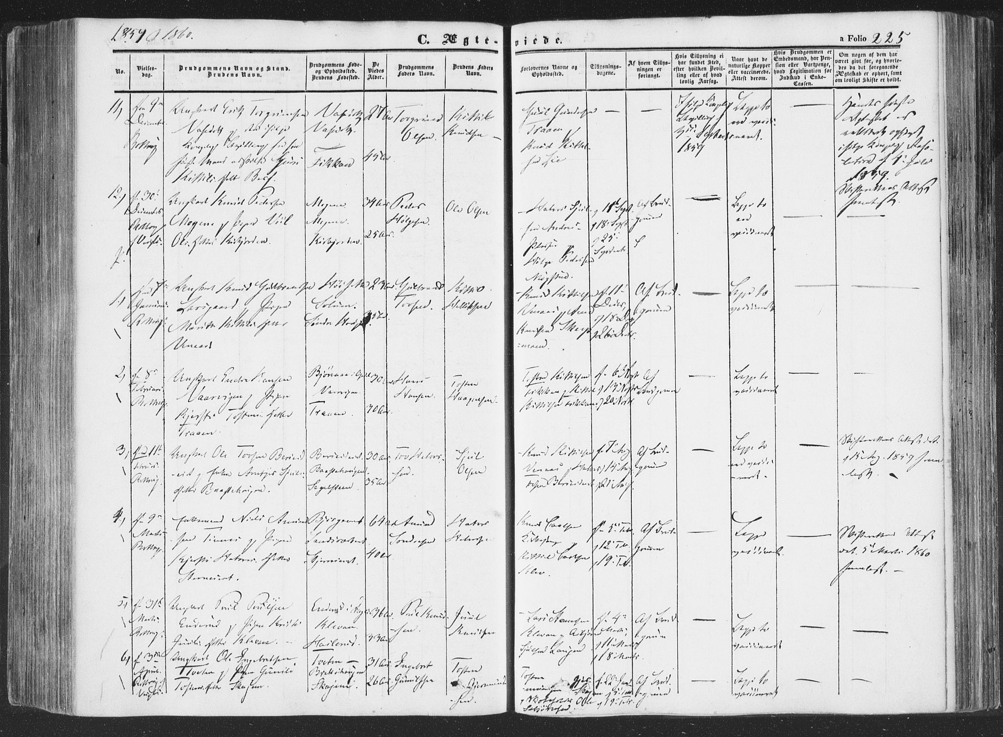 Rollag kirkebøker, SAKO/A-240/F/Fa/L0008: Parish register (official) no. I 8, 1847-1860, p. 225