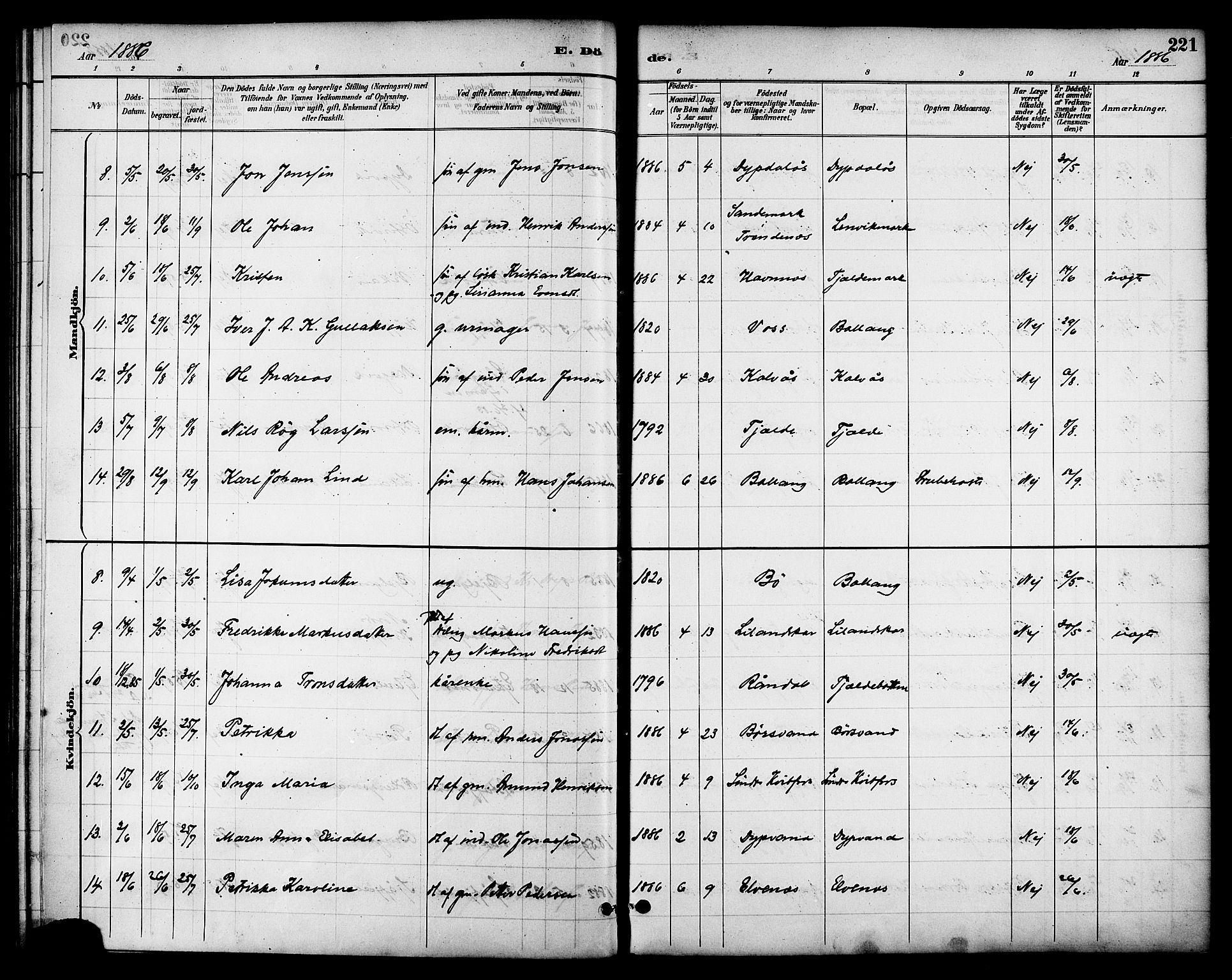 Ministerialprotokoller, klokkerbøker og fødselsregistre - Nordland, AV/SAT-A-1459/863/L0898: Parish register (official) no. 863A10, 1886-1897, p. 221