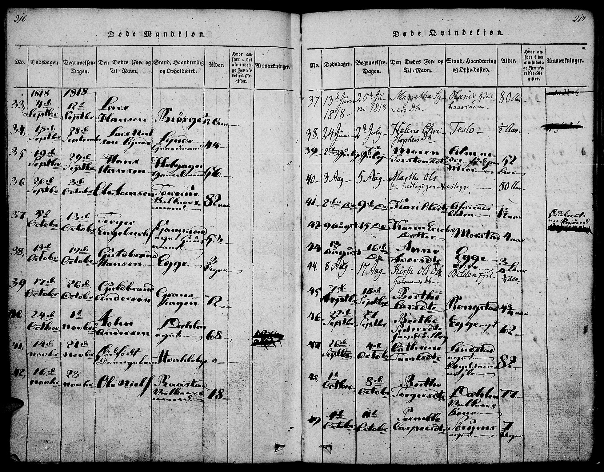 Gran prestekontor, SAH/PREST-112/H/Ha/Haa/L0009: Parish register (official) no. 9, 1815-1824, p. 216-217