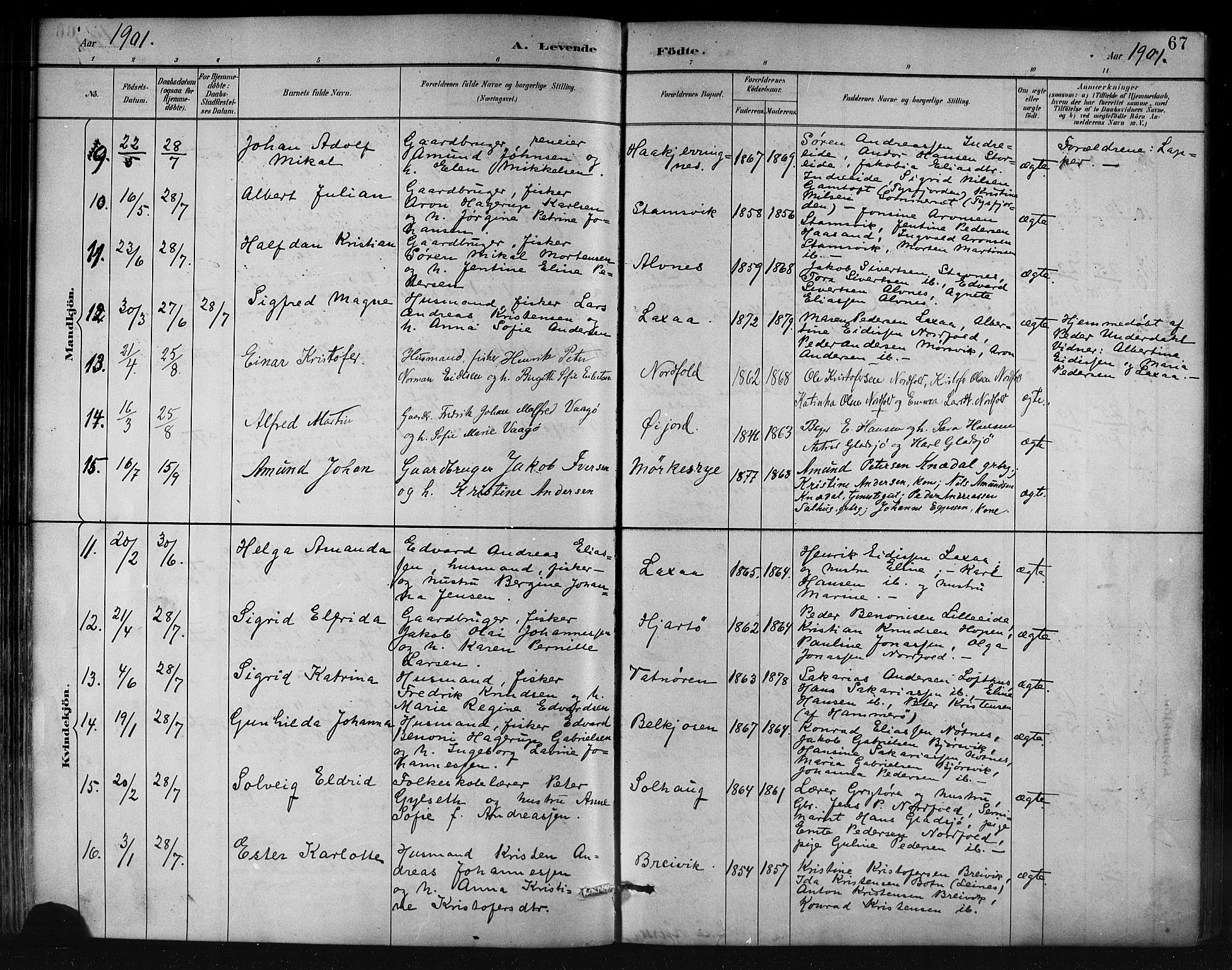 Ministerialprotokoller, klokkerbøker og fødselsregistre - Nordland, AV/SAT-A-1459/858/L0831: Parish register (official) no. 858A01, 1884-1902, p. 67