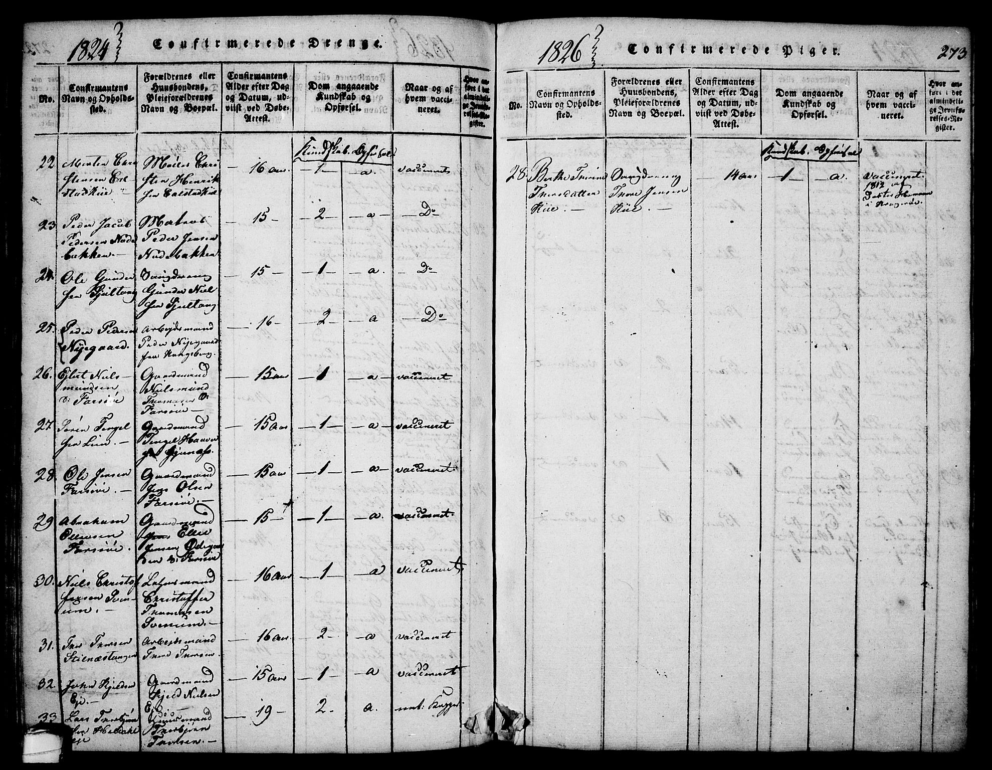 Sannidal kirkebøker, AV/SAKO-A-296/F/Fa/L0004: Parish register (official) no. 4, 1814-1829, p. 273