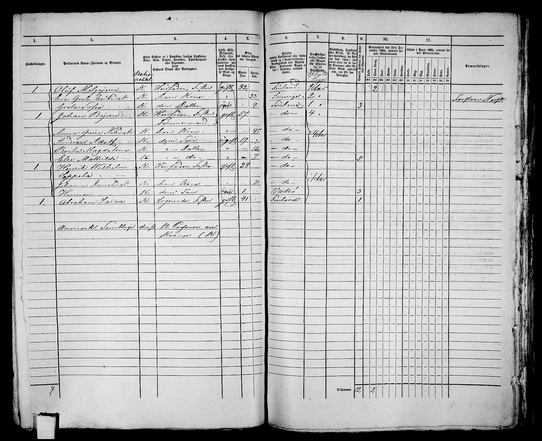 RA, 1865 census for Vadsø/Vadsø, 1865, p. 213