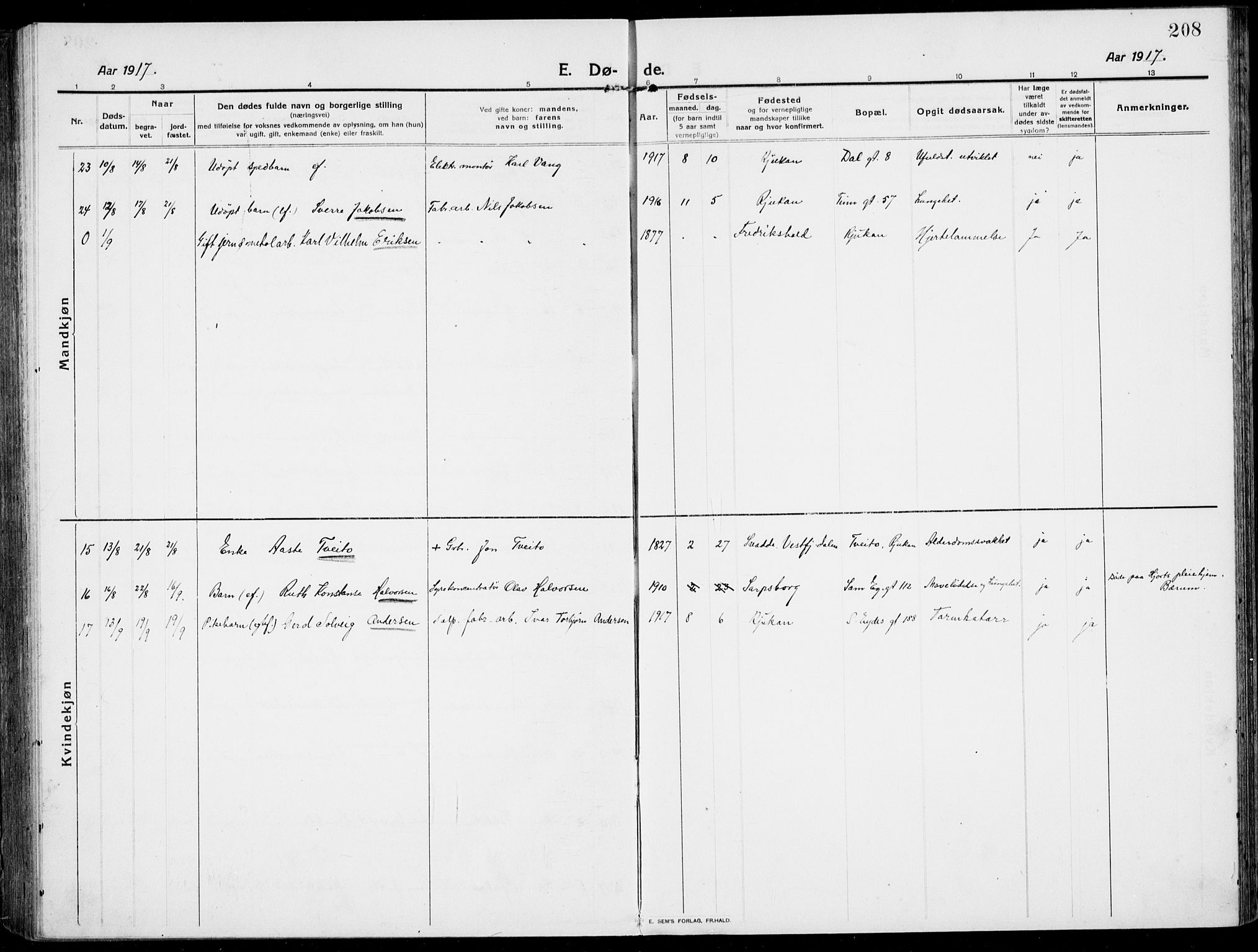 Rjukan kirkebøker, AV/SAKO-A-294/F/Fa/L0002: Parish register (official) no. 2, 1912-1917, p. 208