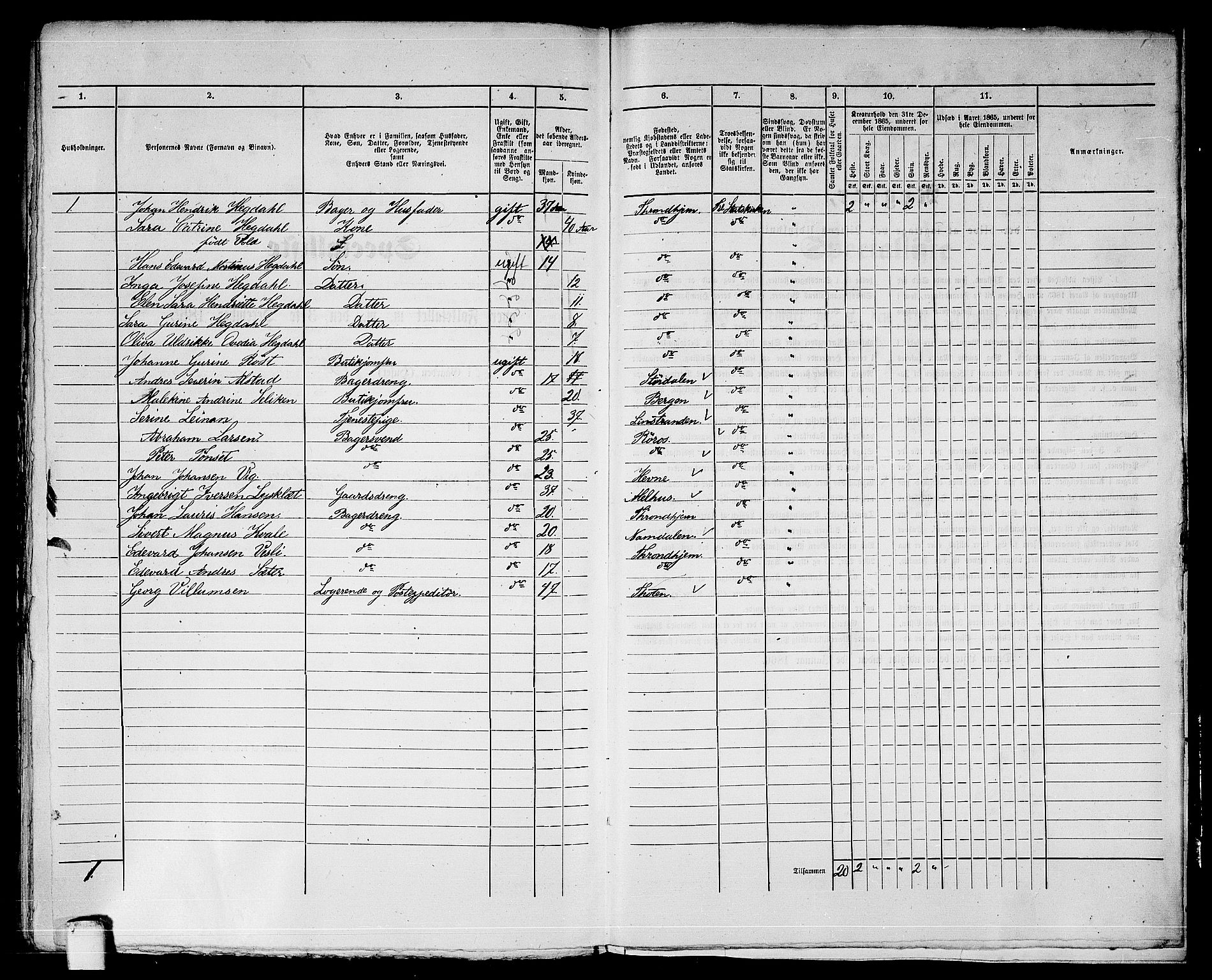 RA, 1865 census for Trondheim, 1865, p. 1035