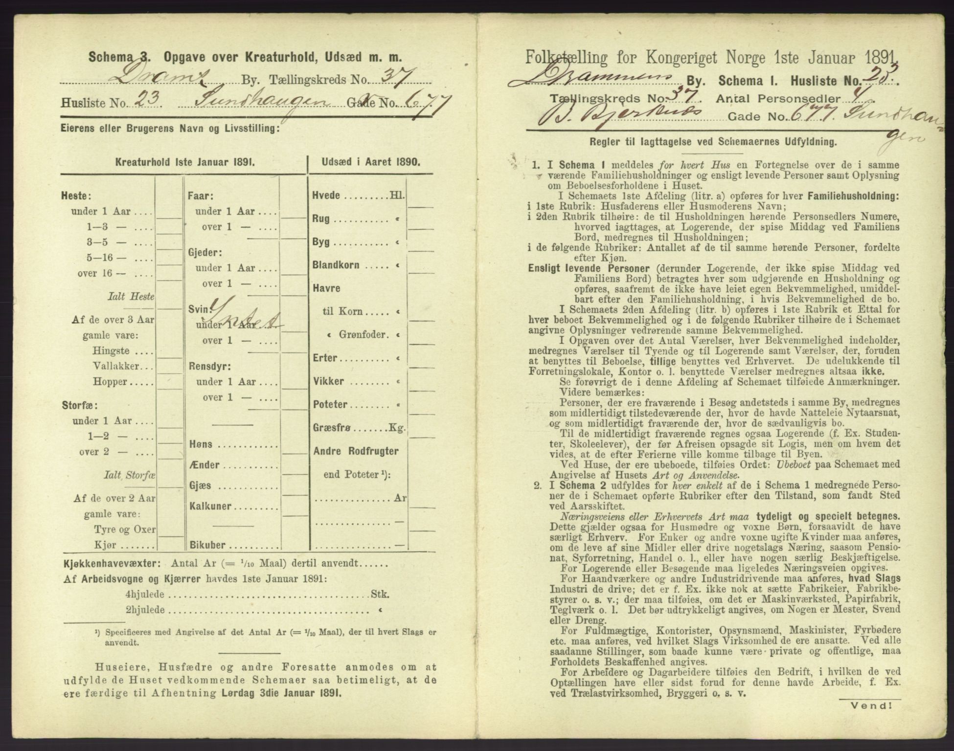 RA, 1891 census for 0602 Drammen, 1891, p. 3405