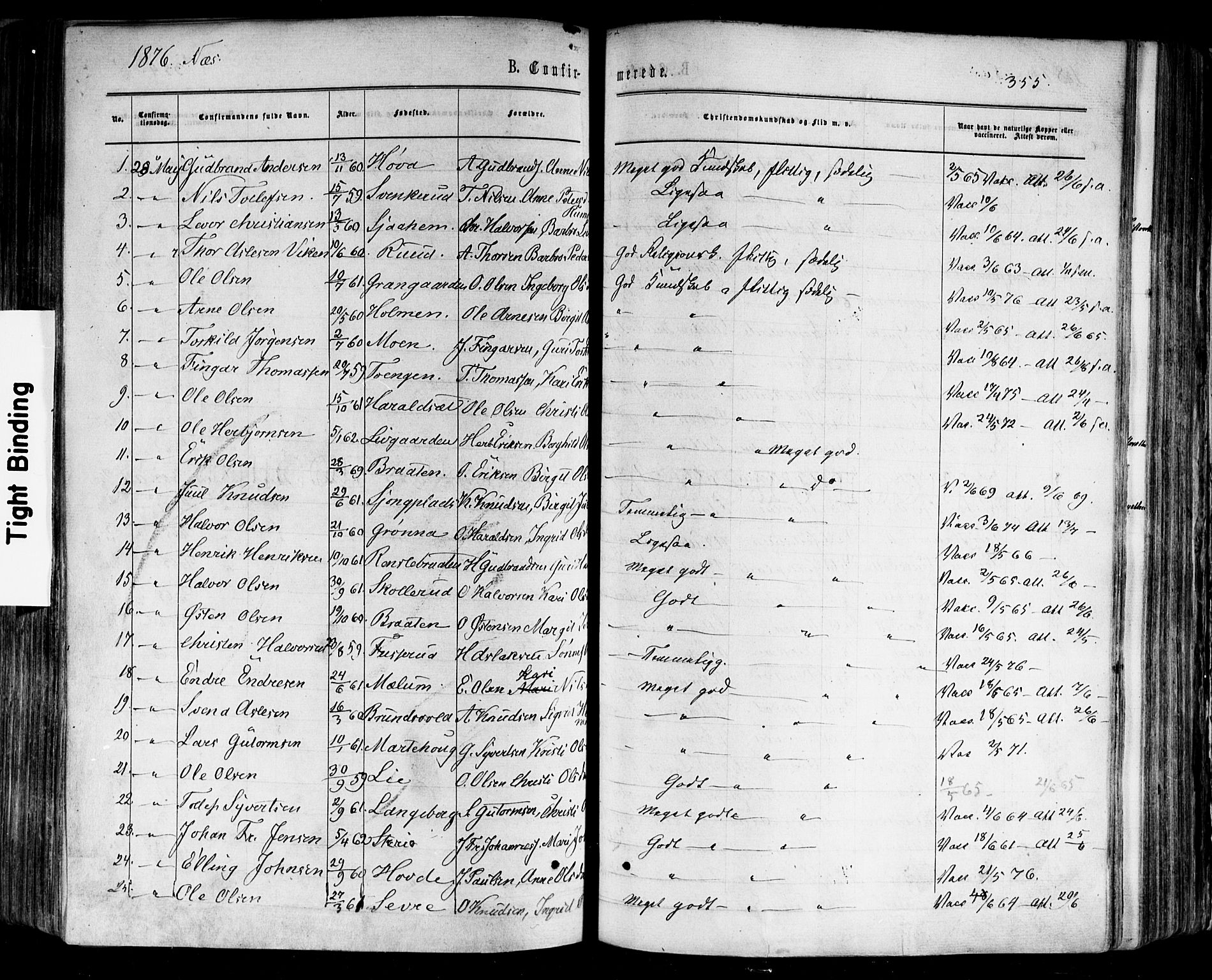 Nes kirkebøker, SAKO/A-236/F/Fa/L0010: Parish register (official) no. 10, 1864-1880, p. 355