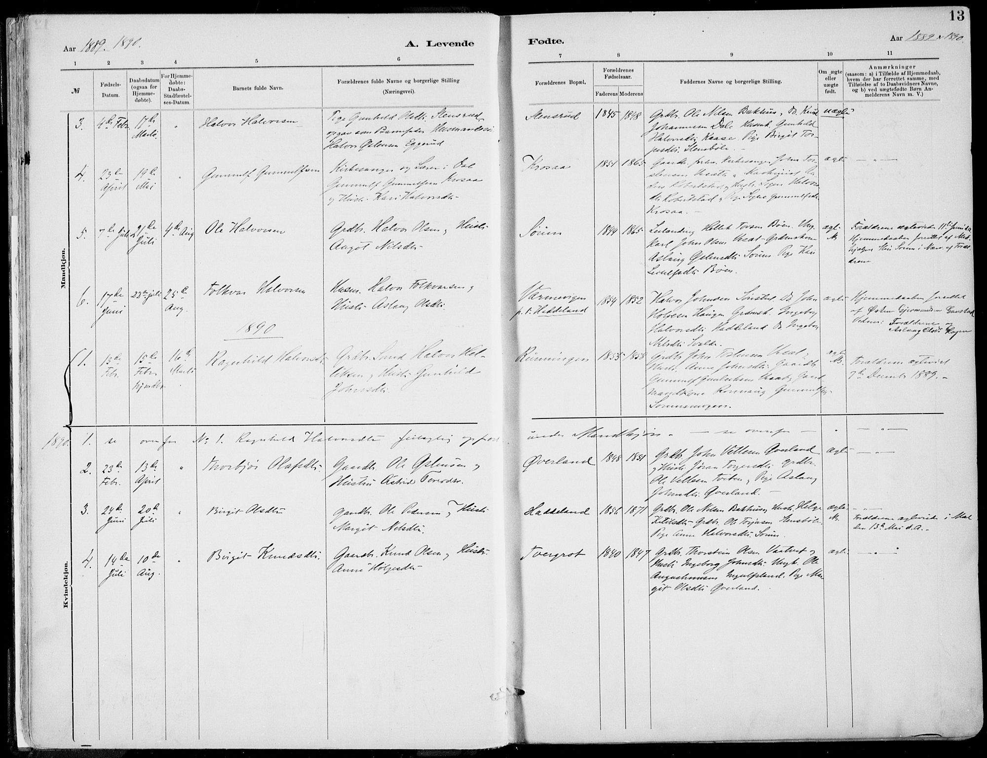 Rjukan kirkebøker, SAKO/A-294/F/Fa/L0001: Parish register (official) no. 1, 1878-1912, p. 13