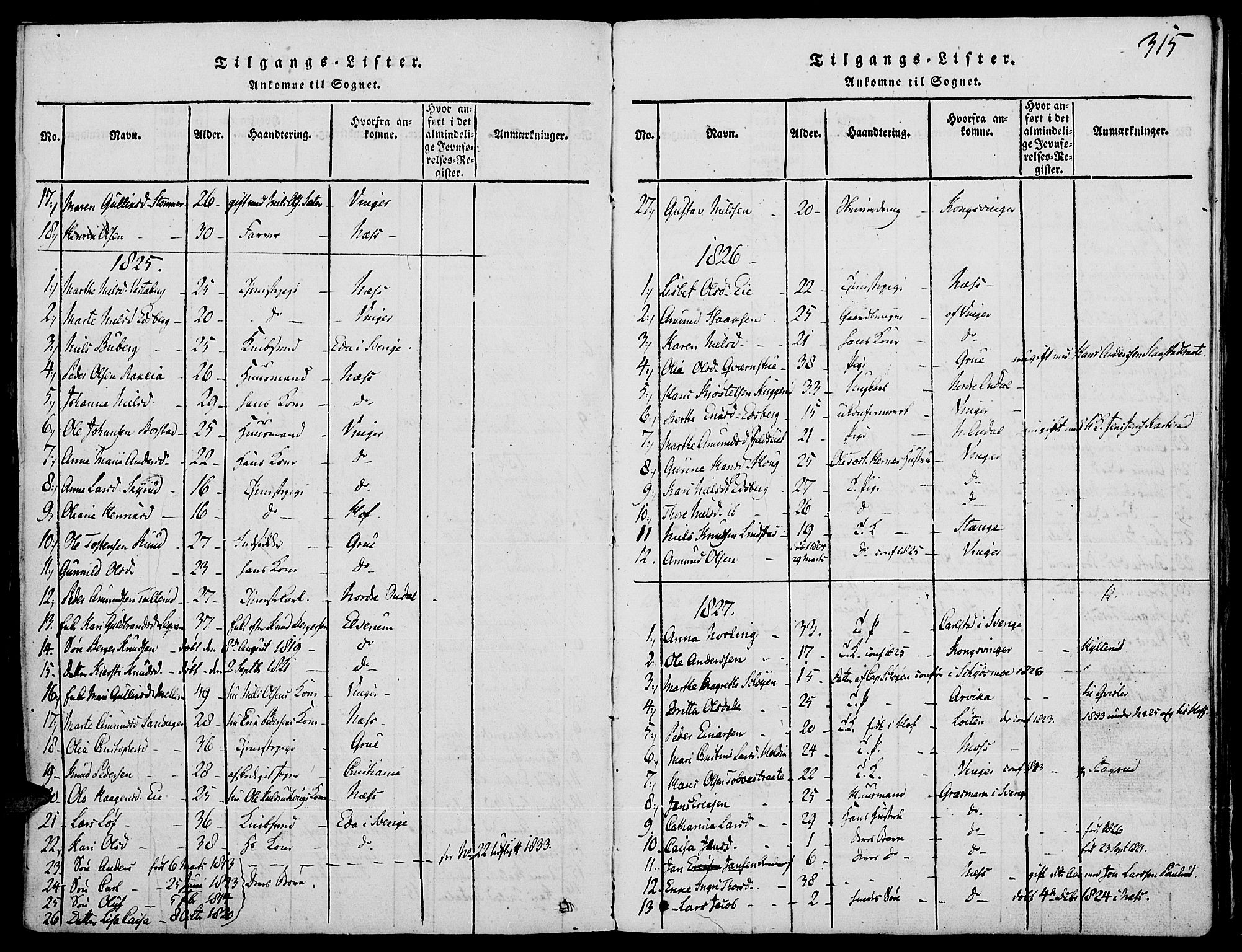 Strøm-Odalen prestekontor, AV/SAH-PREST-028/H/Ha/Haa/L0006: Parish register (official) no. 6, 1814-1850, p. 315