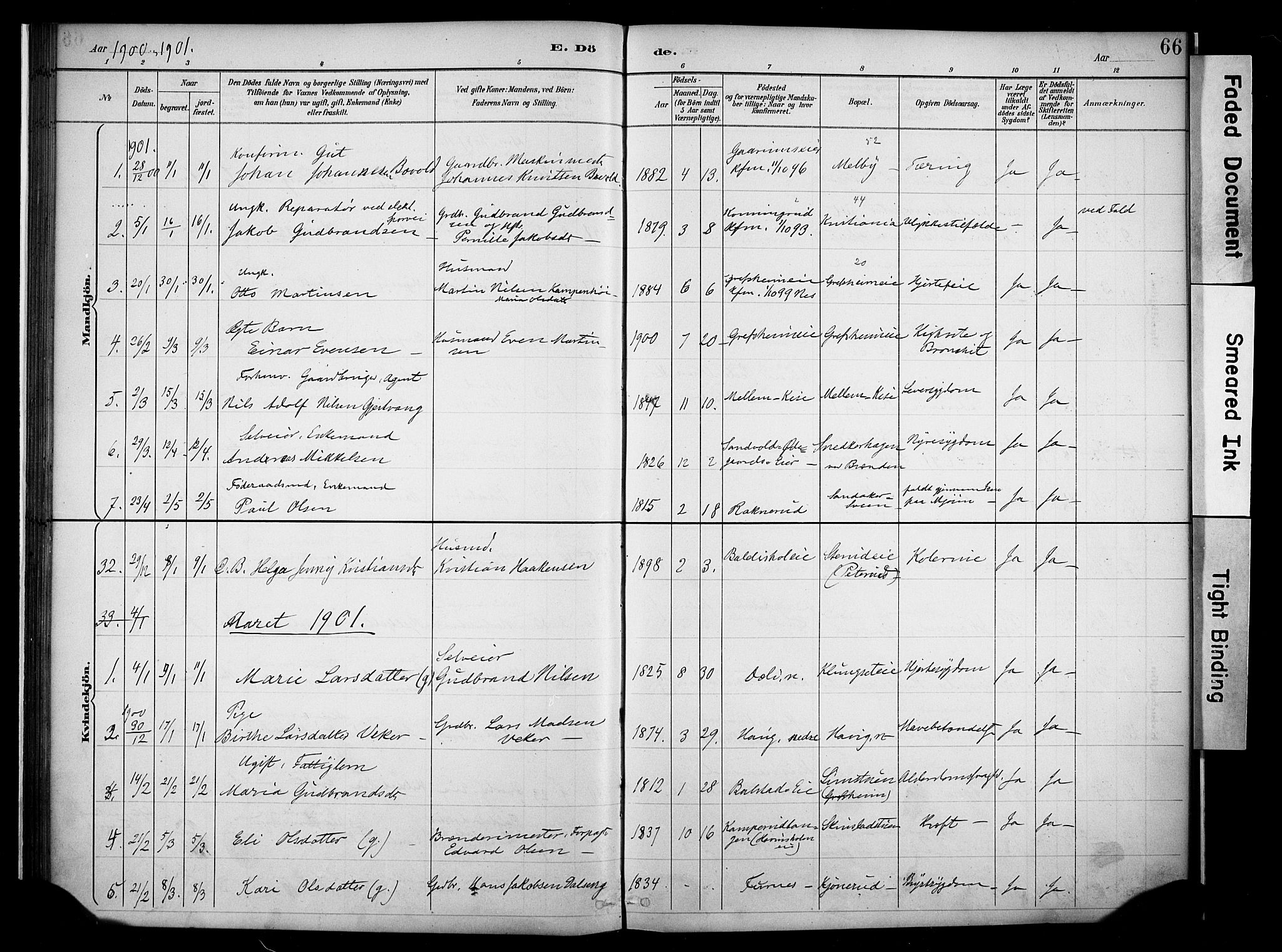 Nes prestekontor, Hedmark, AV/SAH-PREST-020/K/Ka/L0011: Parish register (official) no. 11, 1887-1905, p. 66