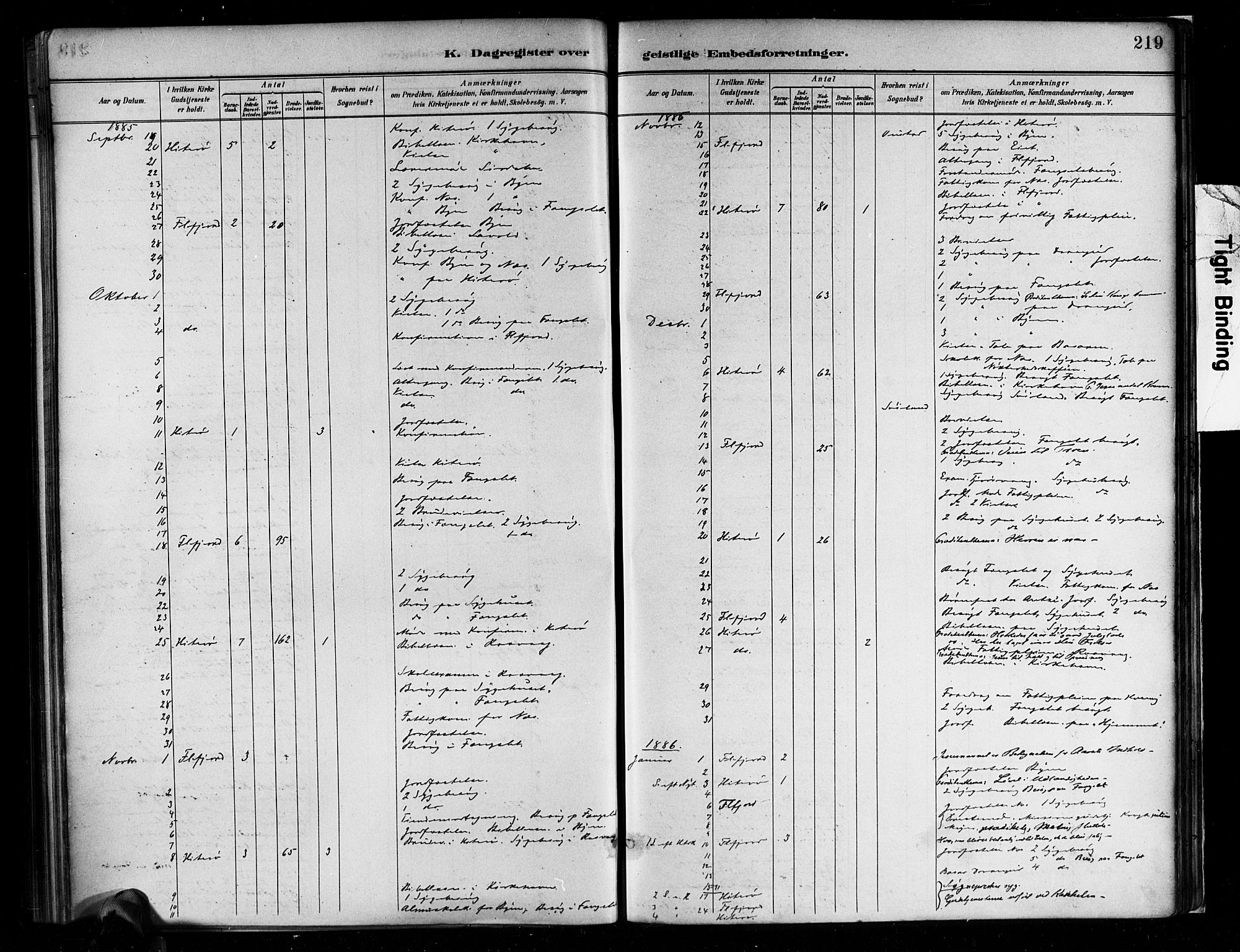 Flekkefjord sokneprestkontor, SAK/1111-0012/F/Fa/Faa/L0001: Parish register (official) no. A 1, 1885-1900, p. 219