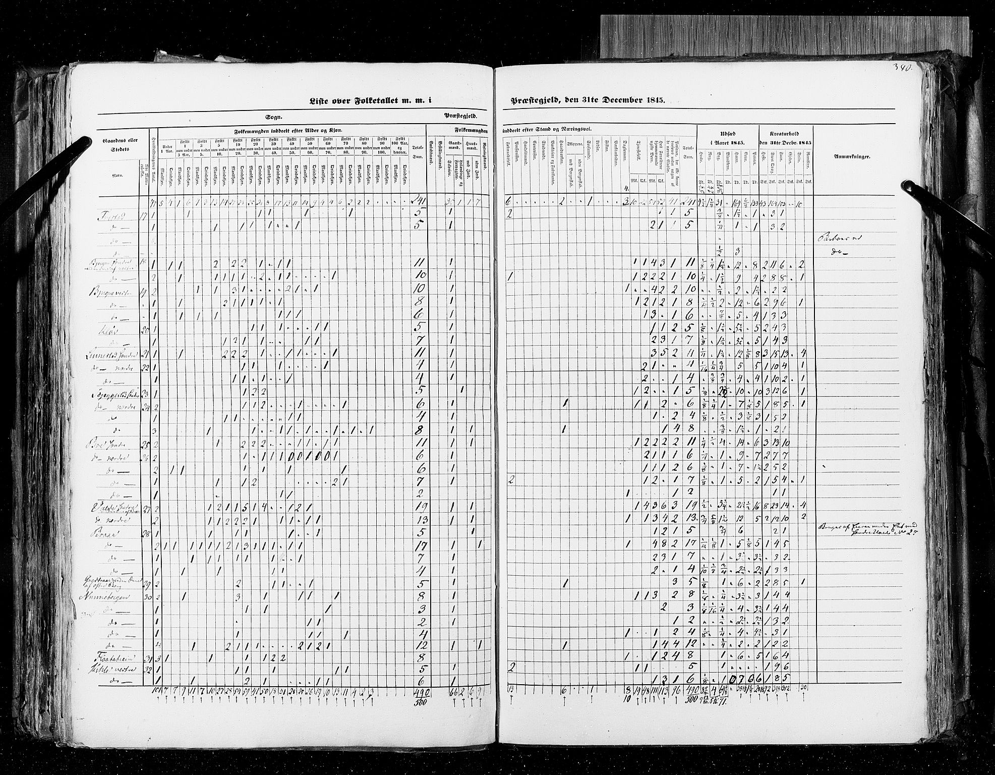 RA, Census 1845, vol. 4: Buskerud amt og Jarlsberg og Larvik amt, 1845, p. 340