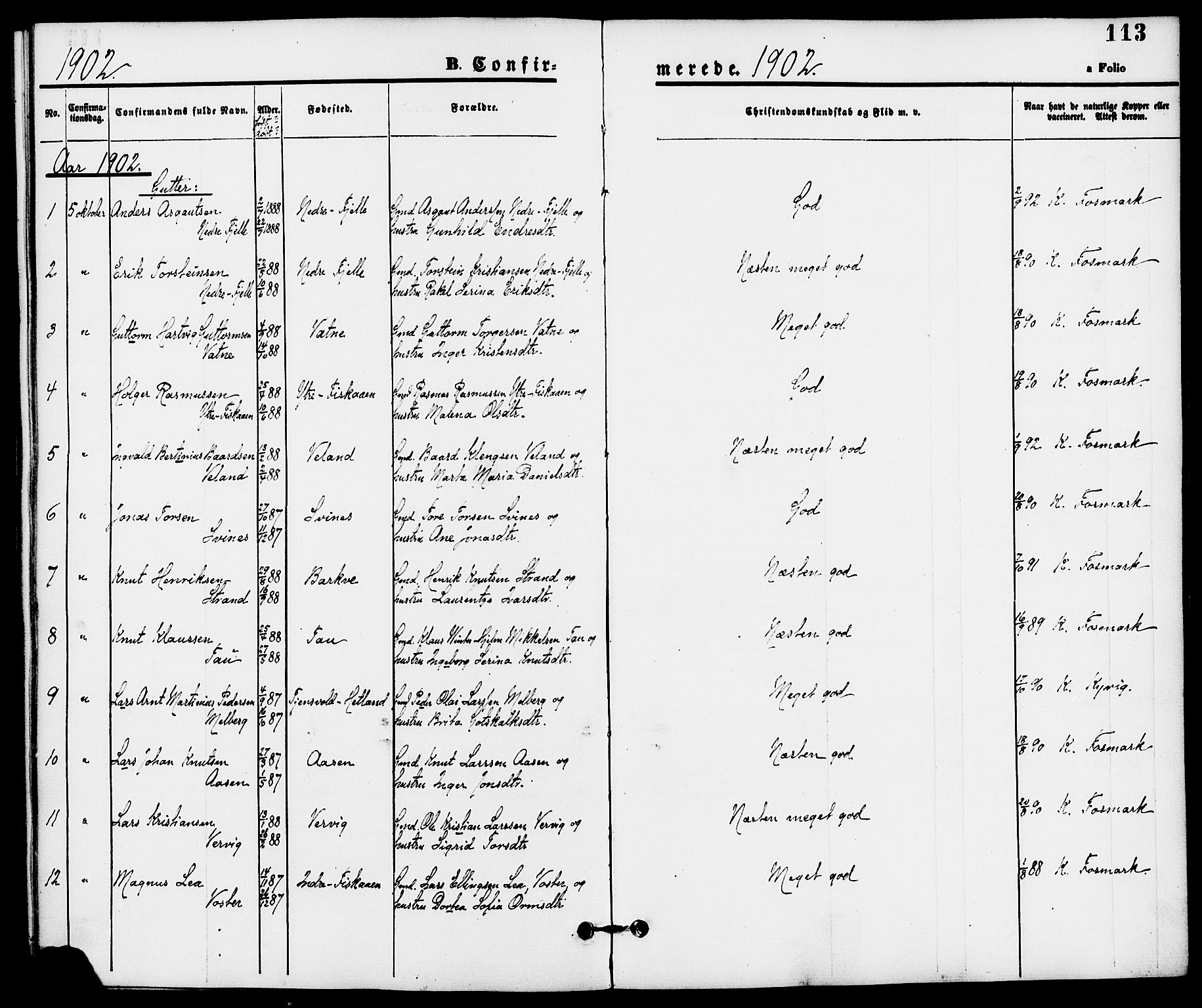 Strand sokneprestkontor, SAST/A-101828/H/Ha/Haa/L0008: Parish register (official) no. A 8, 1874-1907, p. 113