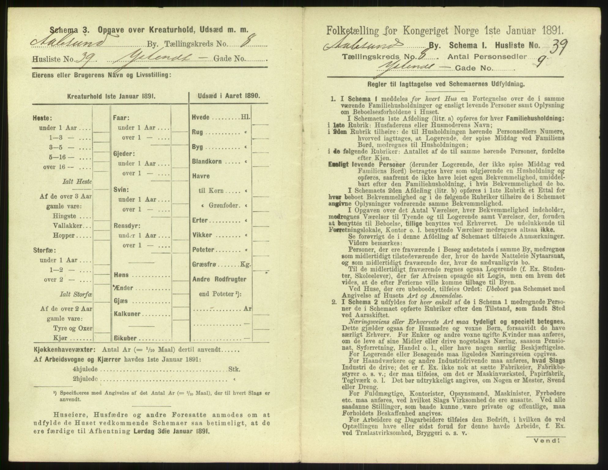 RA, 1891 census for 1501 Ålesund, 1891, p. 684