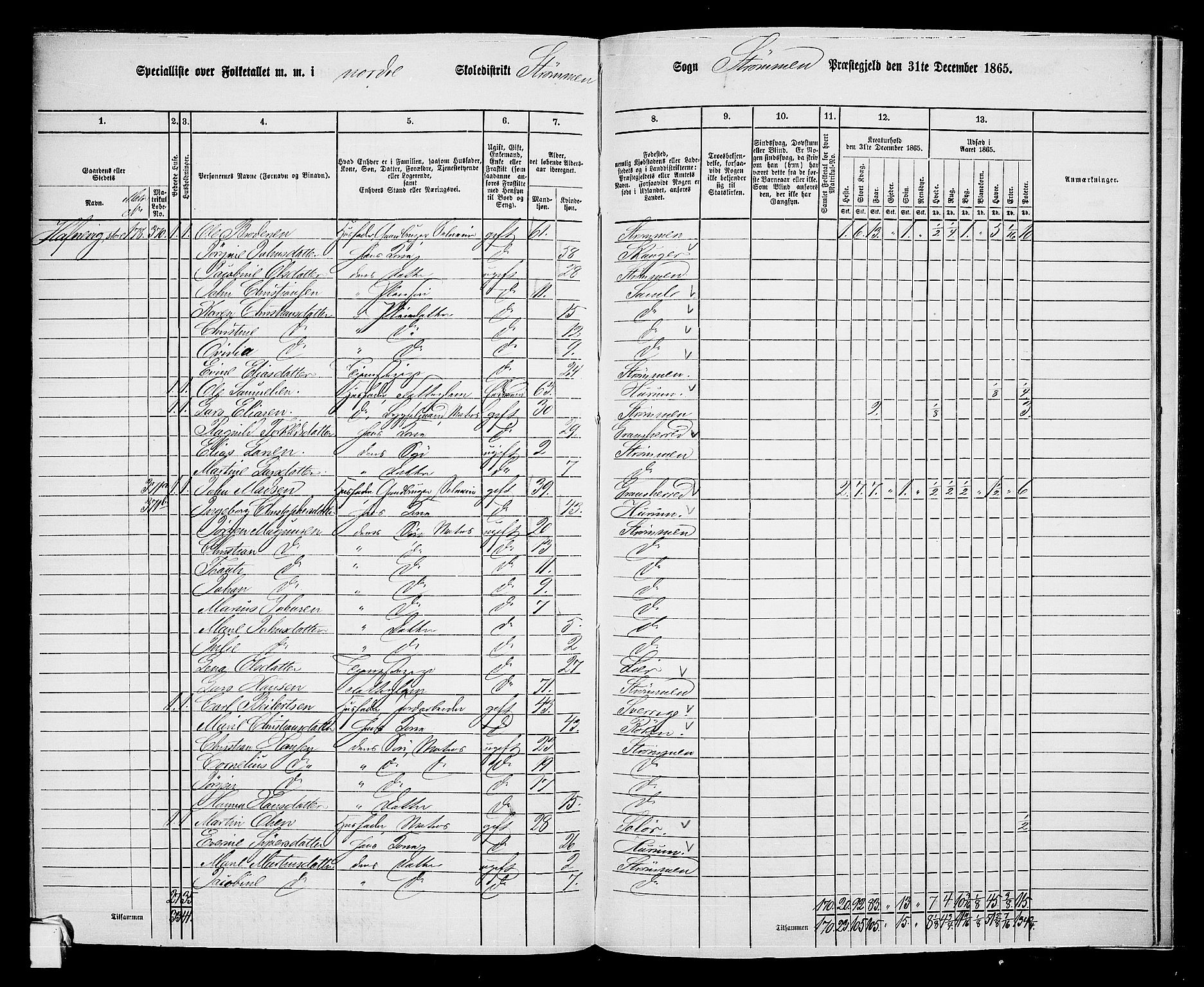 RA, 1865 census for Strømm, 1865, p. 42