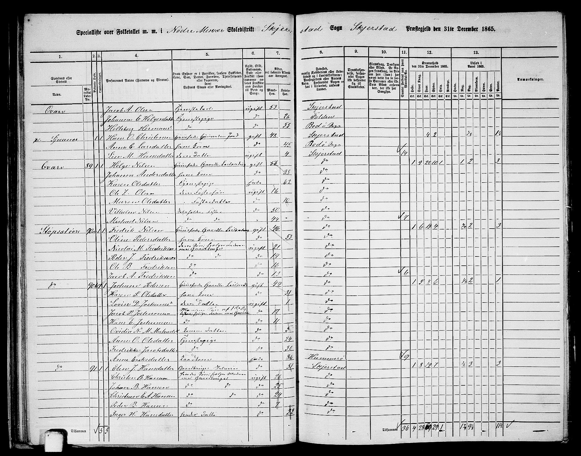 RA, 1865 census for Skjerstad, 1865, p. 46